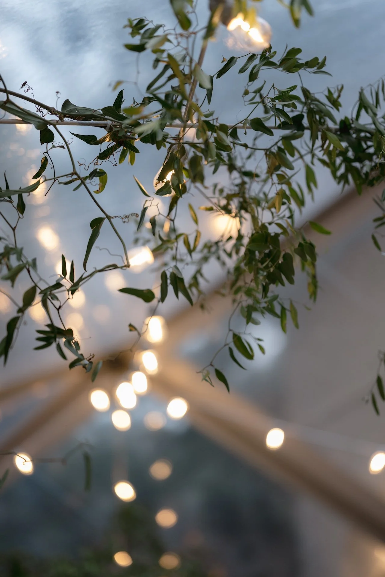 MG - 141 of 158.jpeg