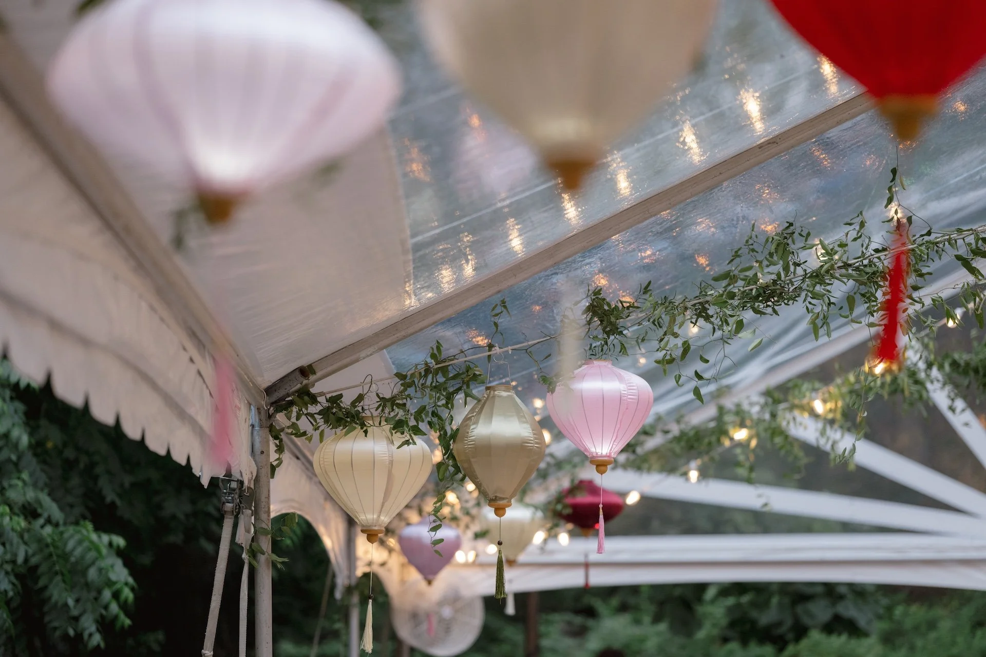 MG - 142 of 158.jpeg