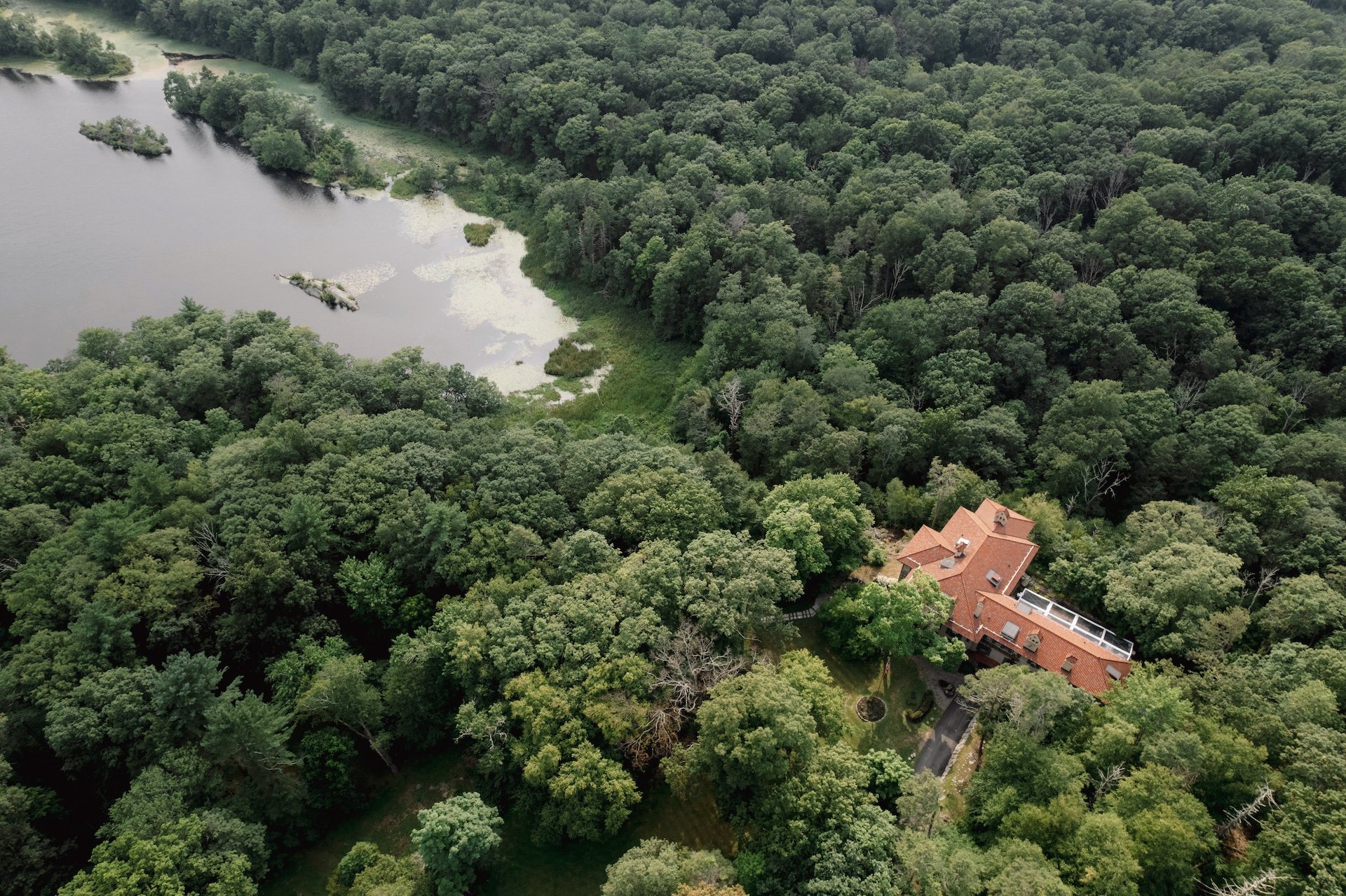 MG - 113 of 158.jpeg