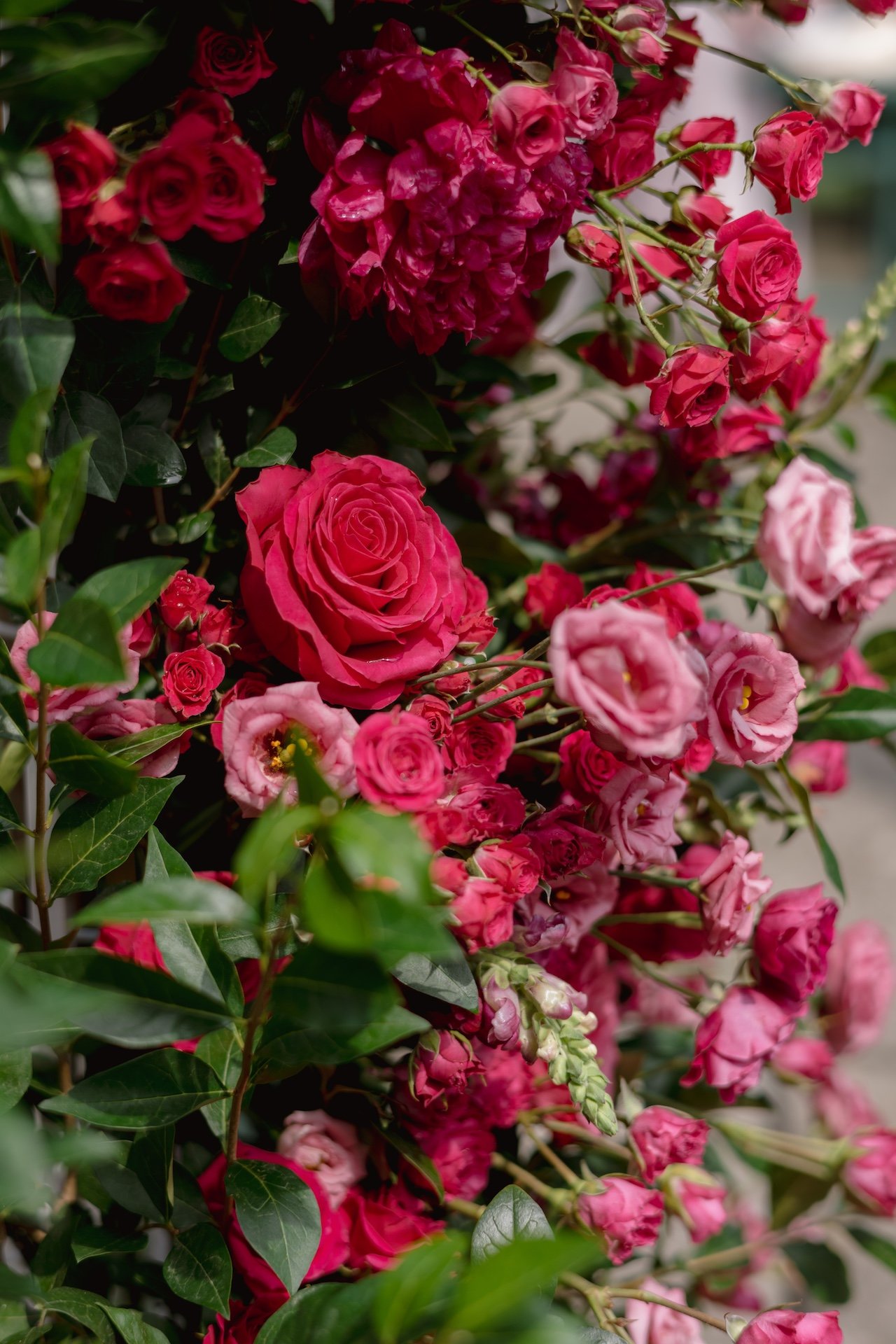 MG - 115 of 158.jpeg