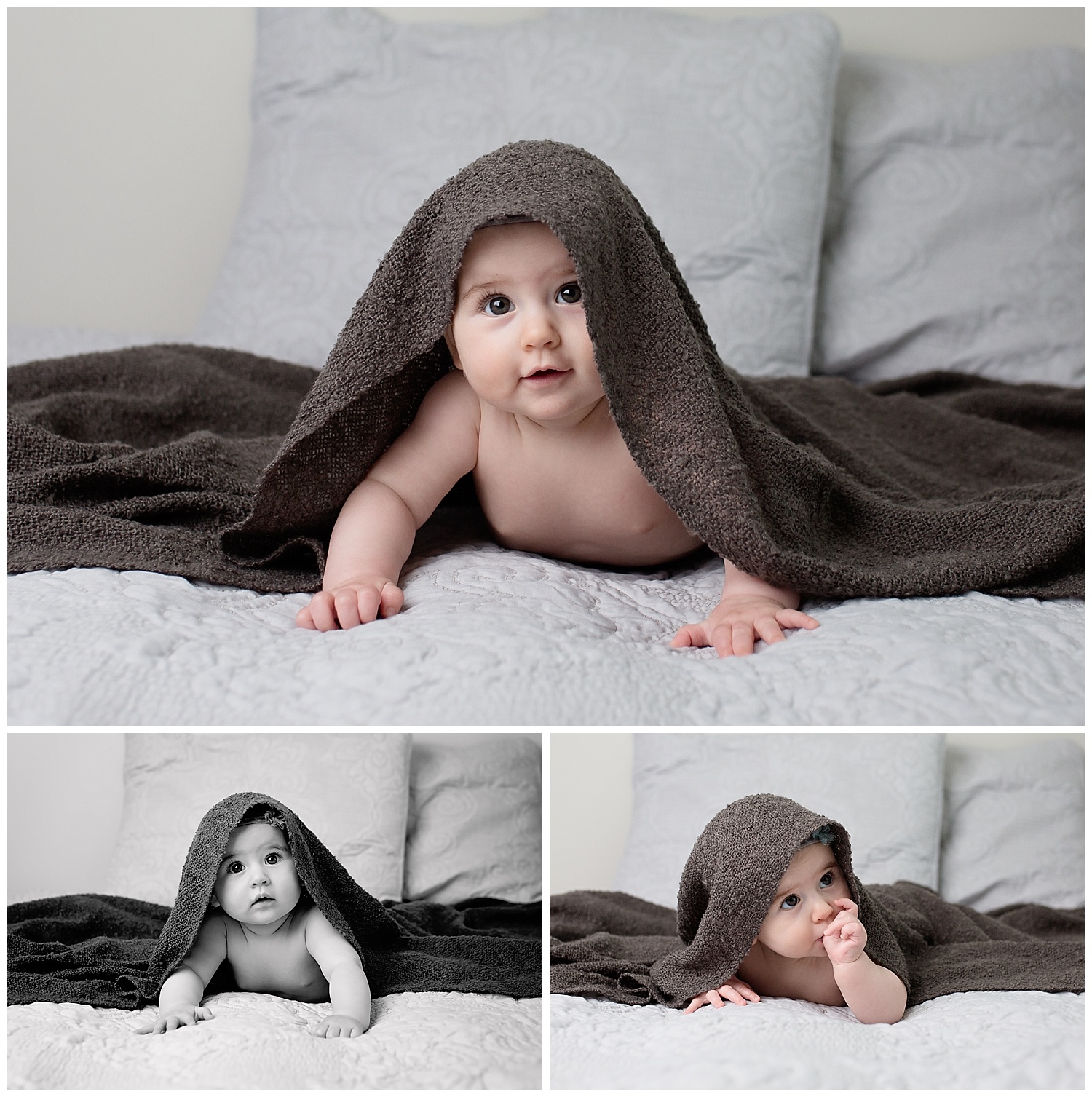 5 Month Old Barbara Gass Photography
