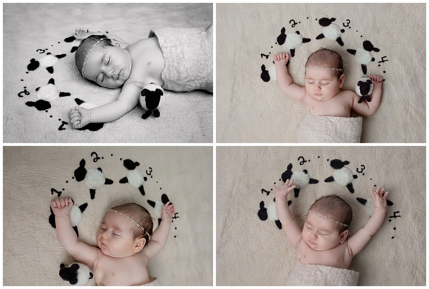 Raleigh Wake Forest Milestone Baby Photography 05.jpg