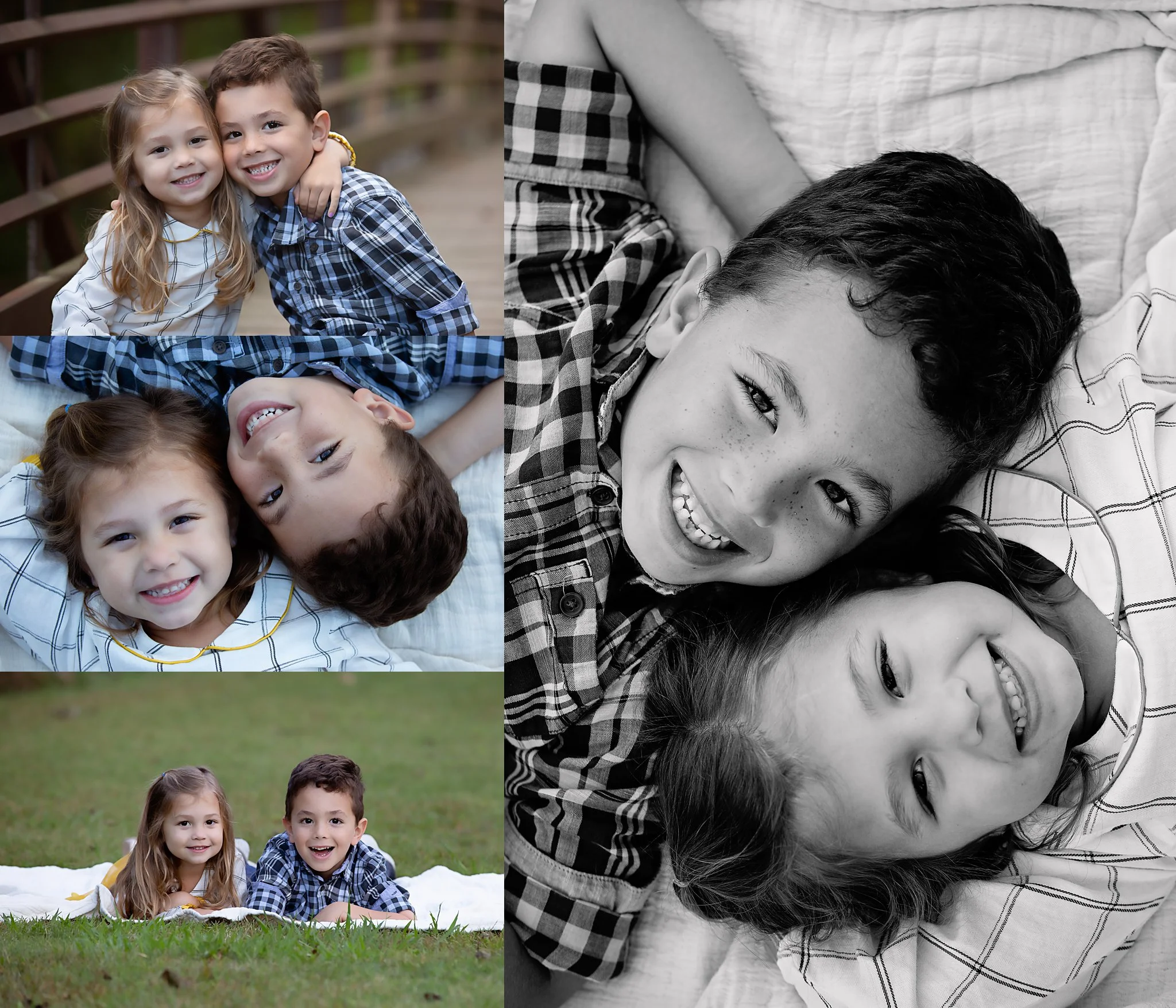 FALL MINIS — Barbara Gass Photography