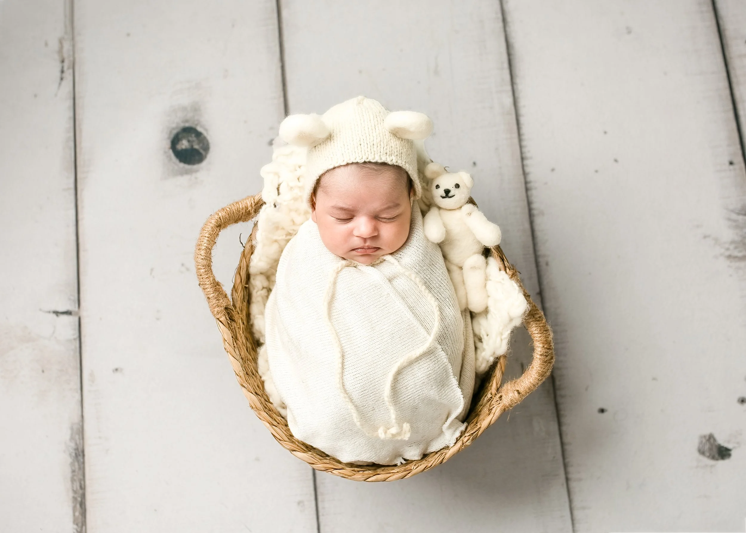 newborn teddy bear wake forest.jpg