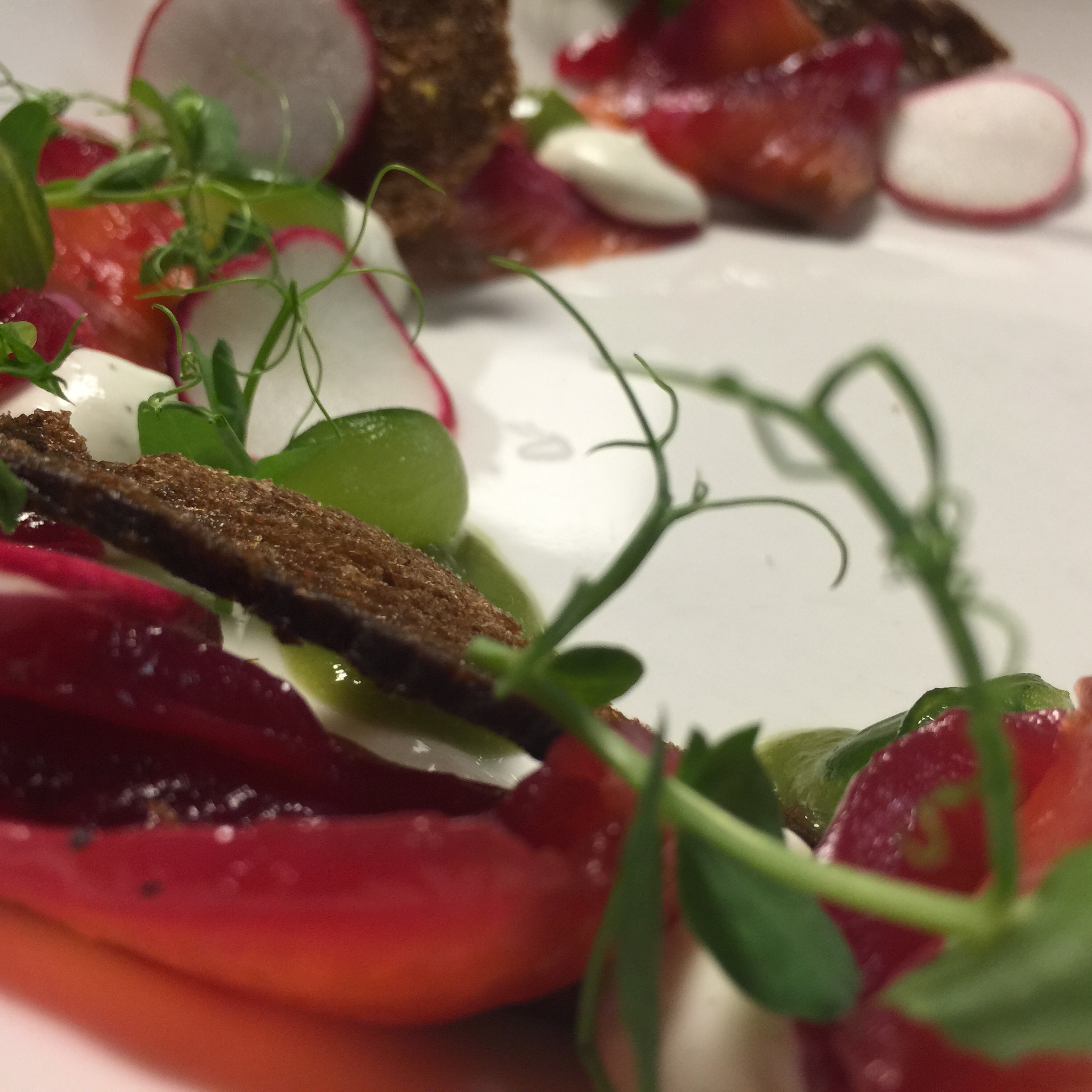 Beet Cured Sockeye