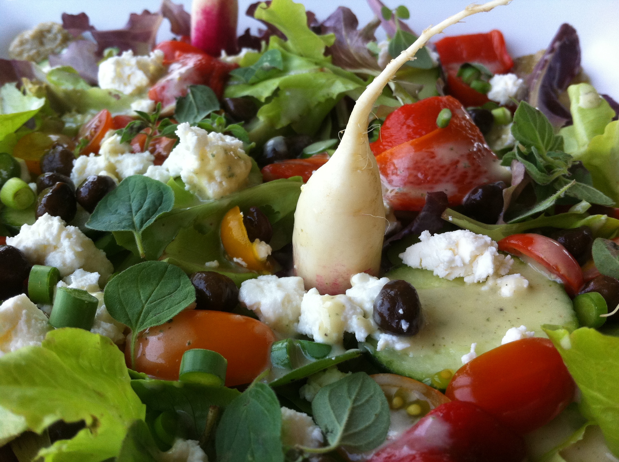 Greek Salad 2.0