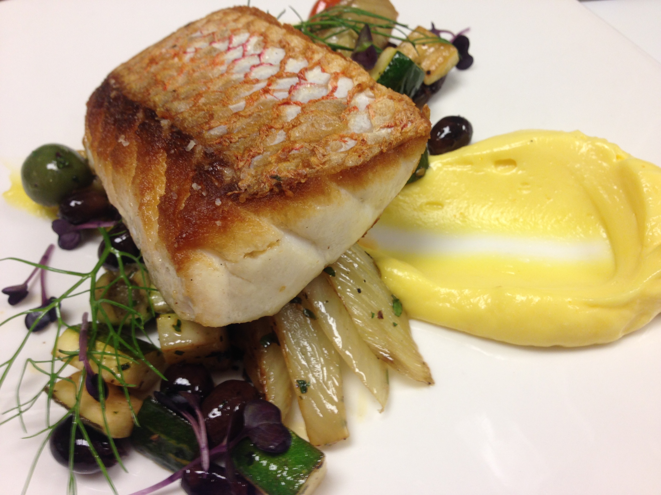 Red Snapper "South of France"