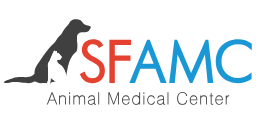 S.F. Animal Medical Center, Open House