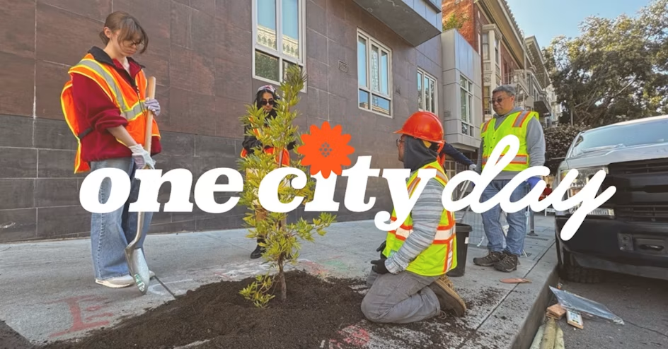 Join PHRA: Once City Day D2 Tree Planting
