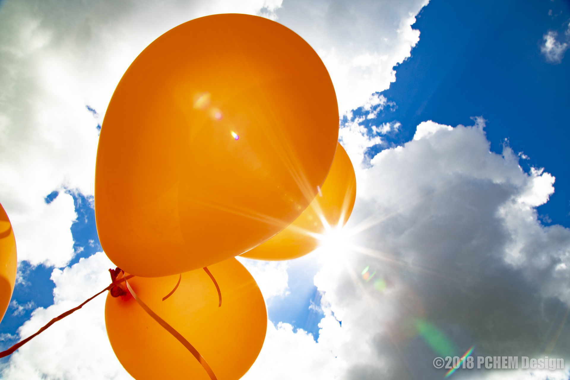 DukeEnergy-RETI-RibbonCutting-00428.jpg