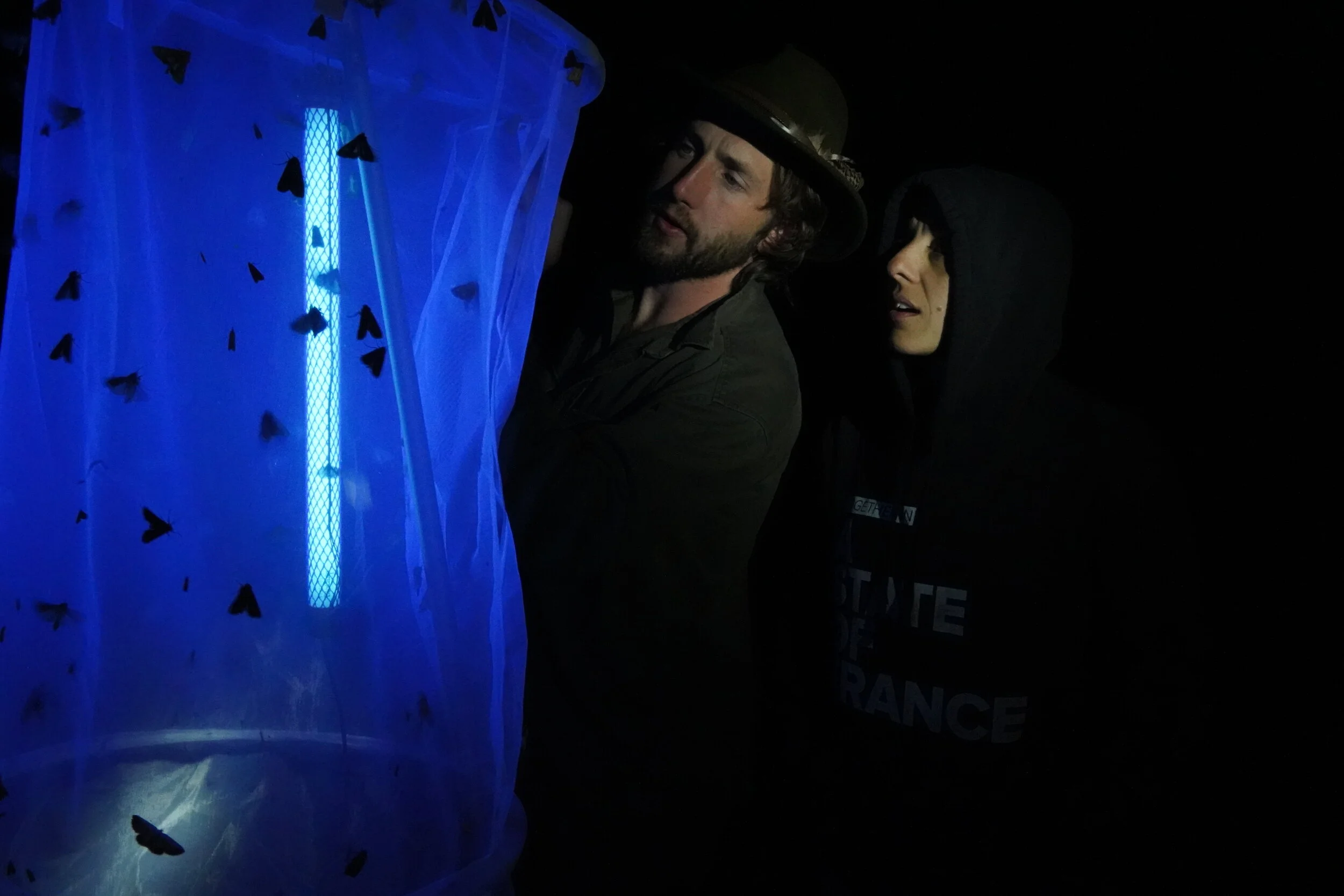 DEA00592Light Trapping .JPG