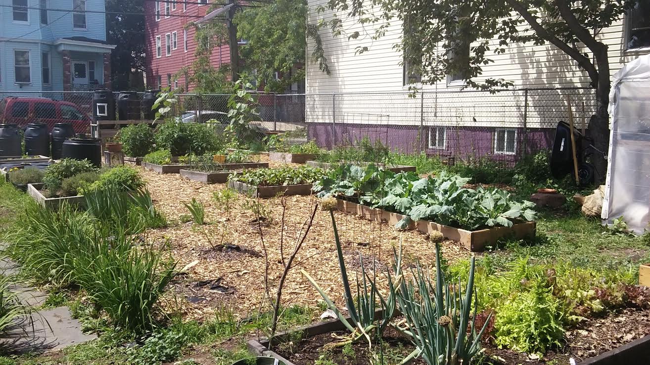 The Green Community Farm-1.jpg