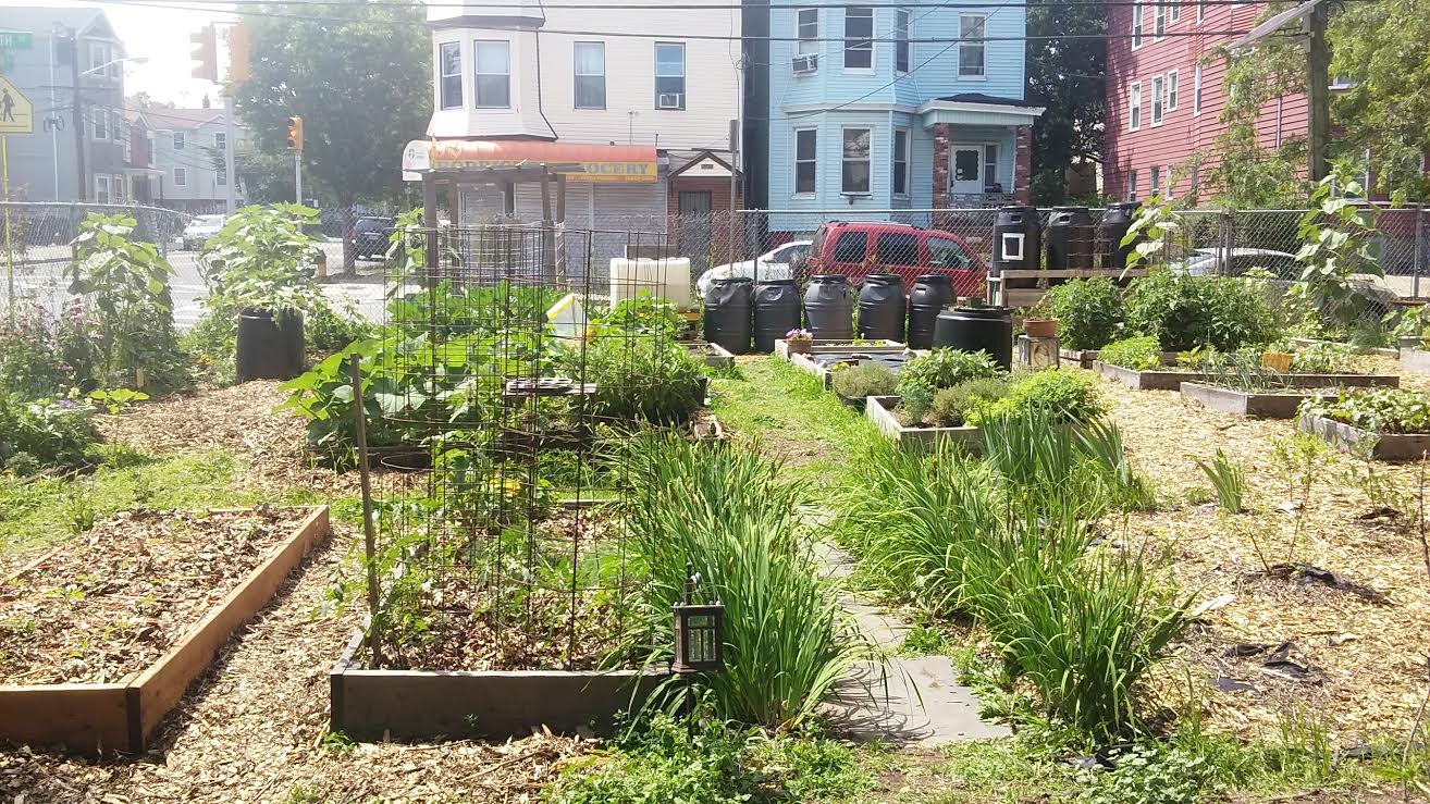 The Green Community Farm-2.jpg