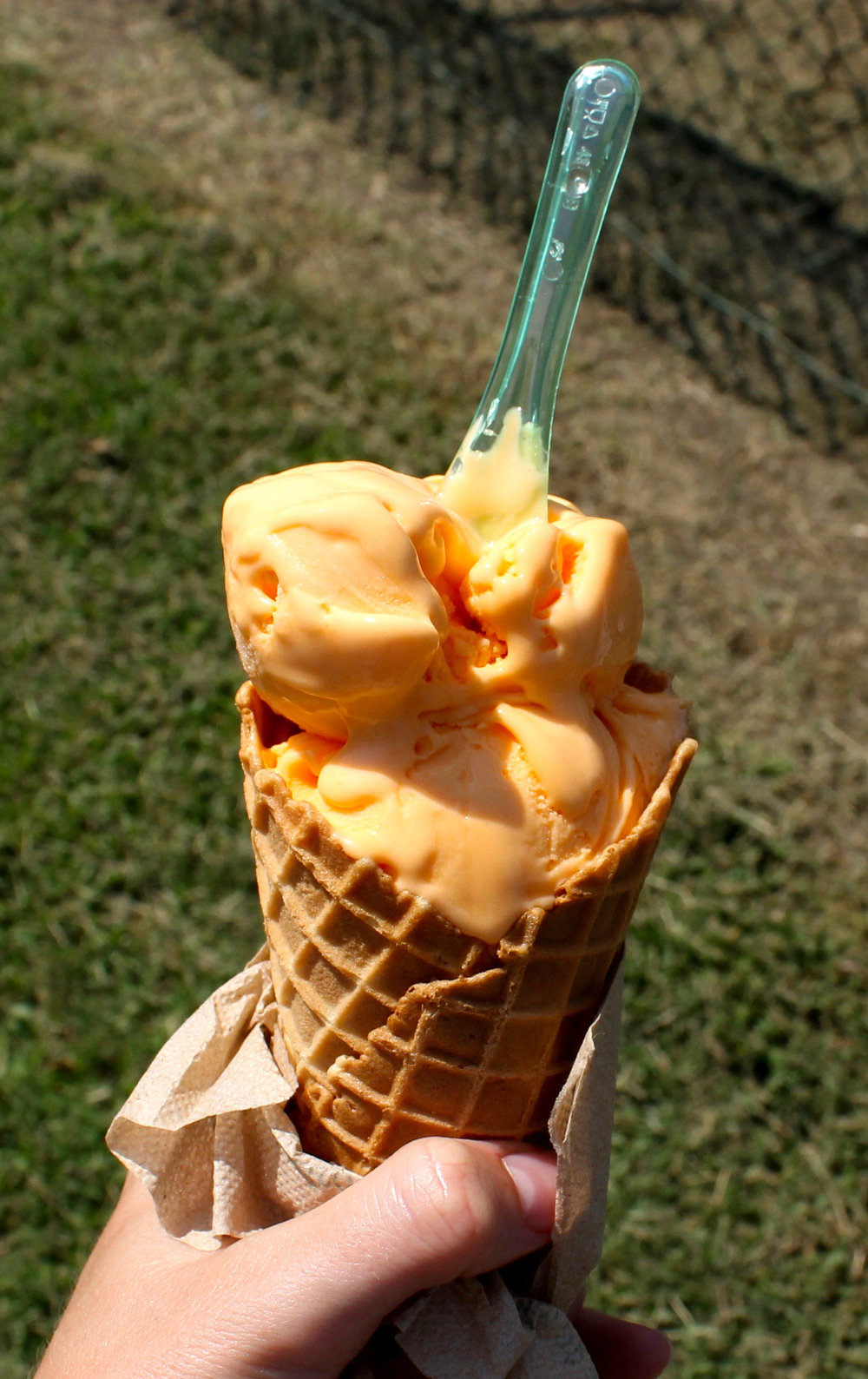 Scottish Highland Creamery ice cream cone