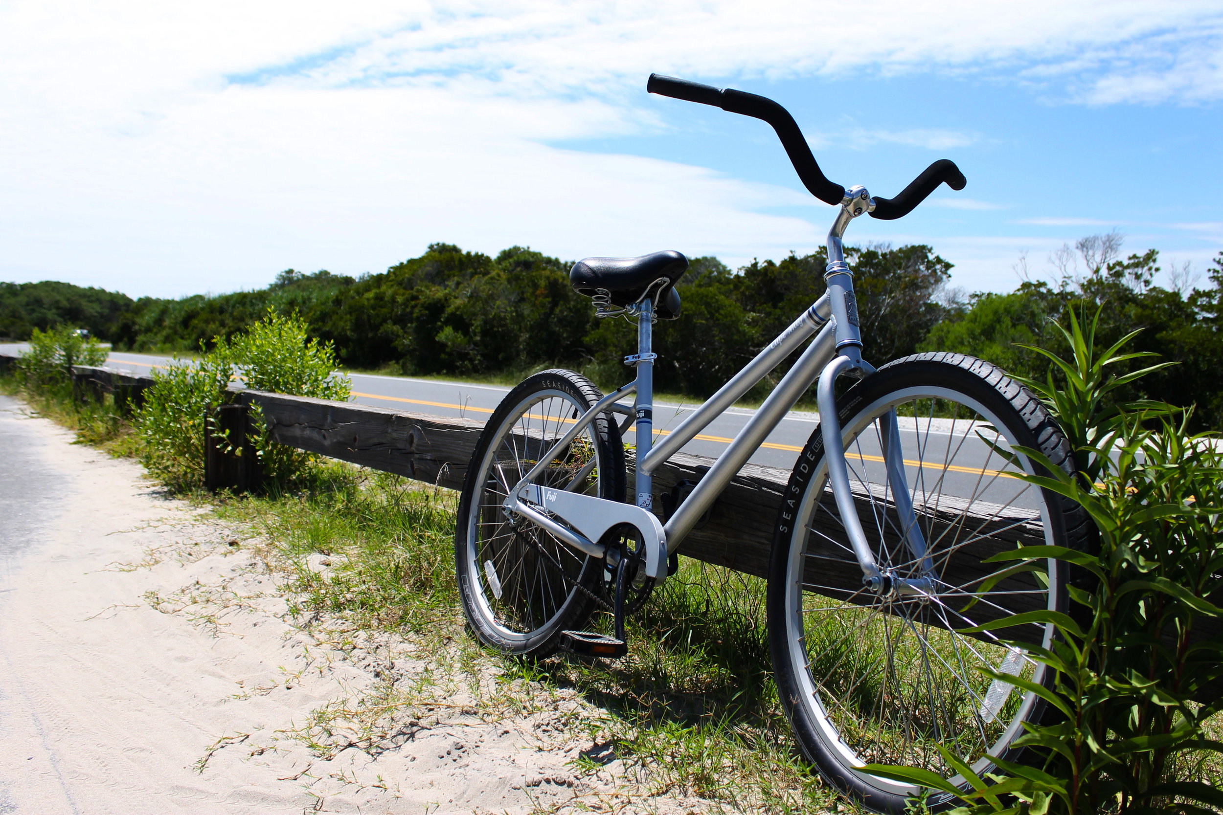 Assateague Island bike trail