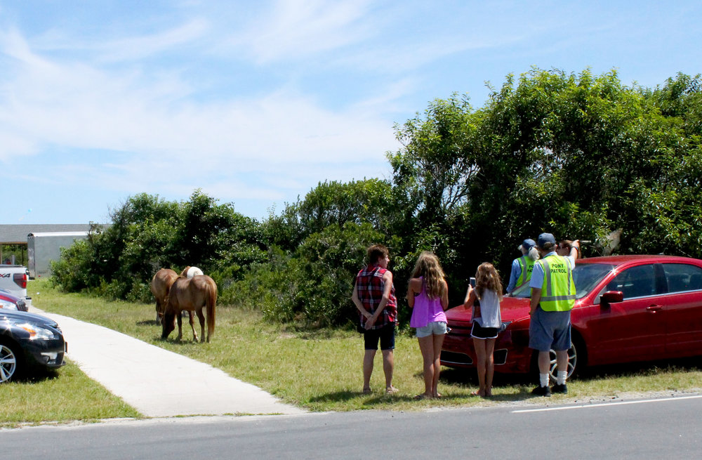 Pony patrol protecting the horses and people