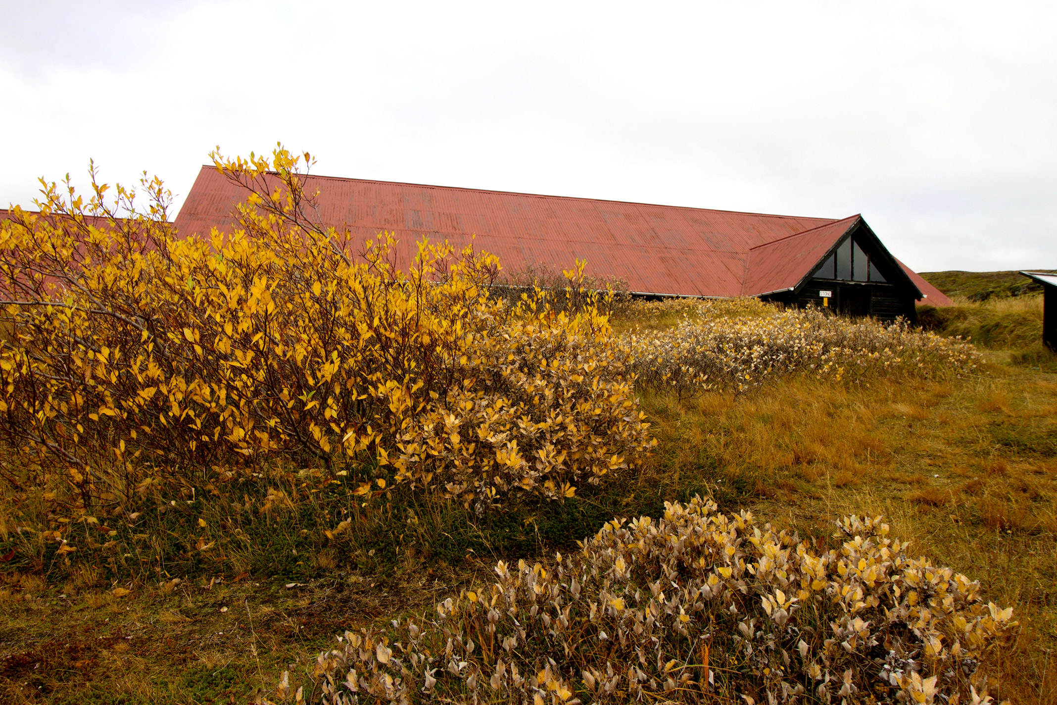 Stong-Iceland-Ruins-Exterior.jpg