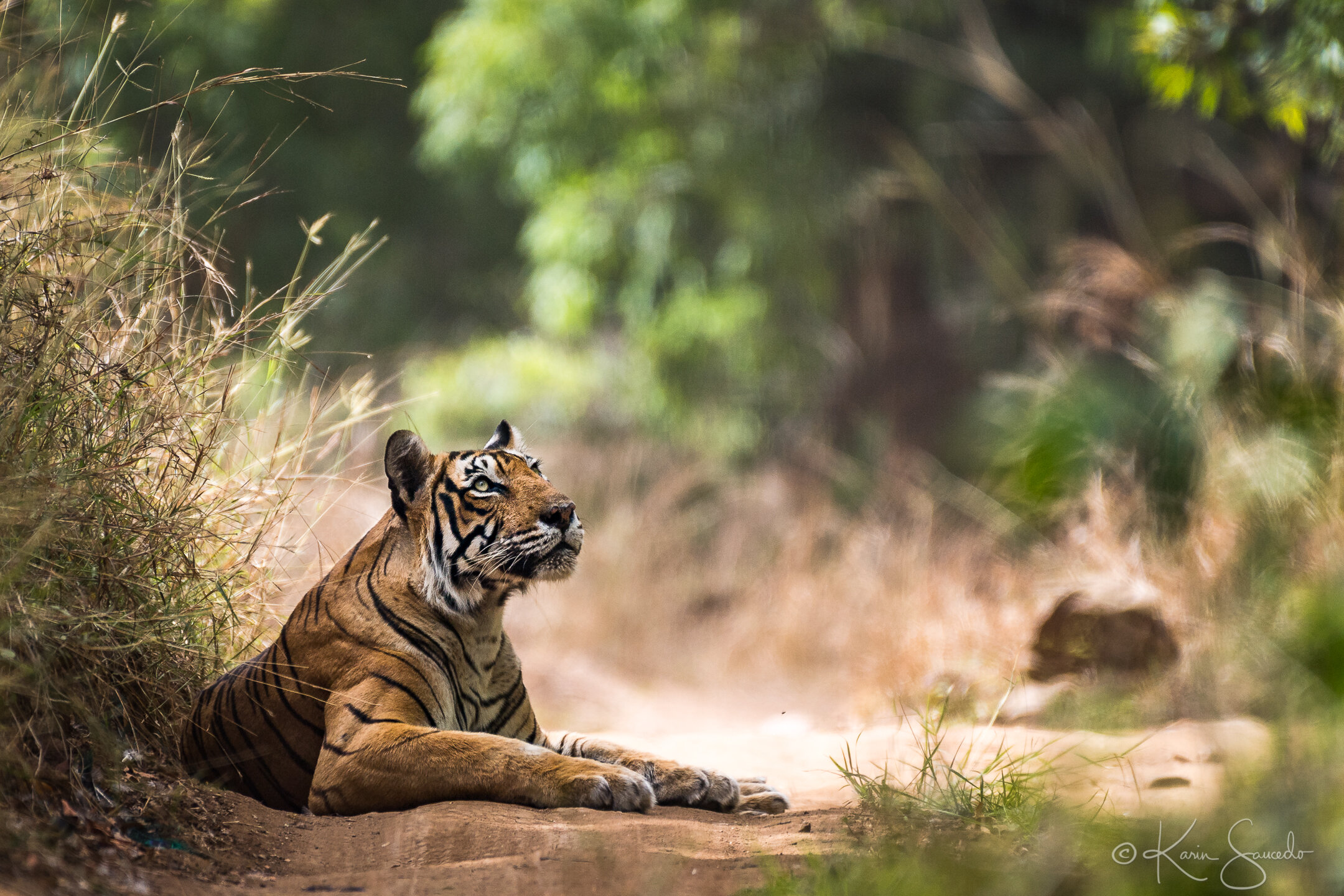 20170515_rathambore_0837.jpg