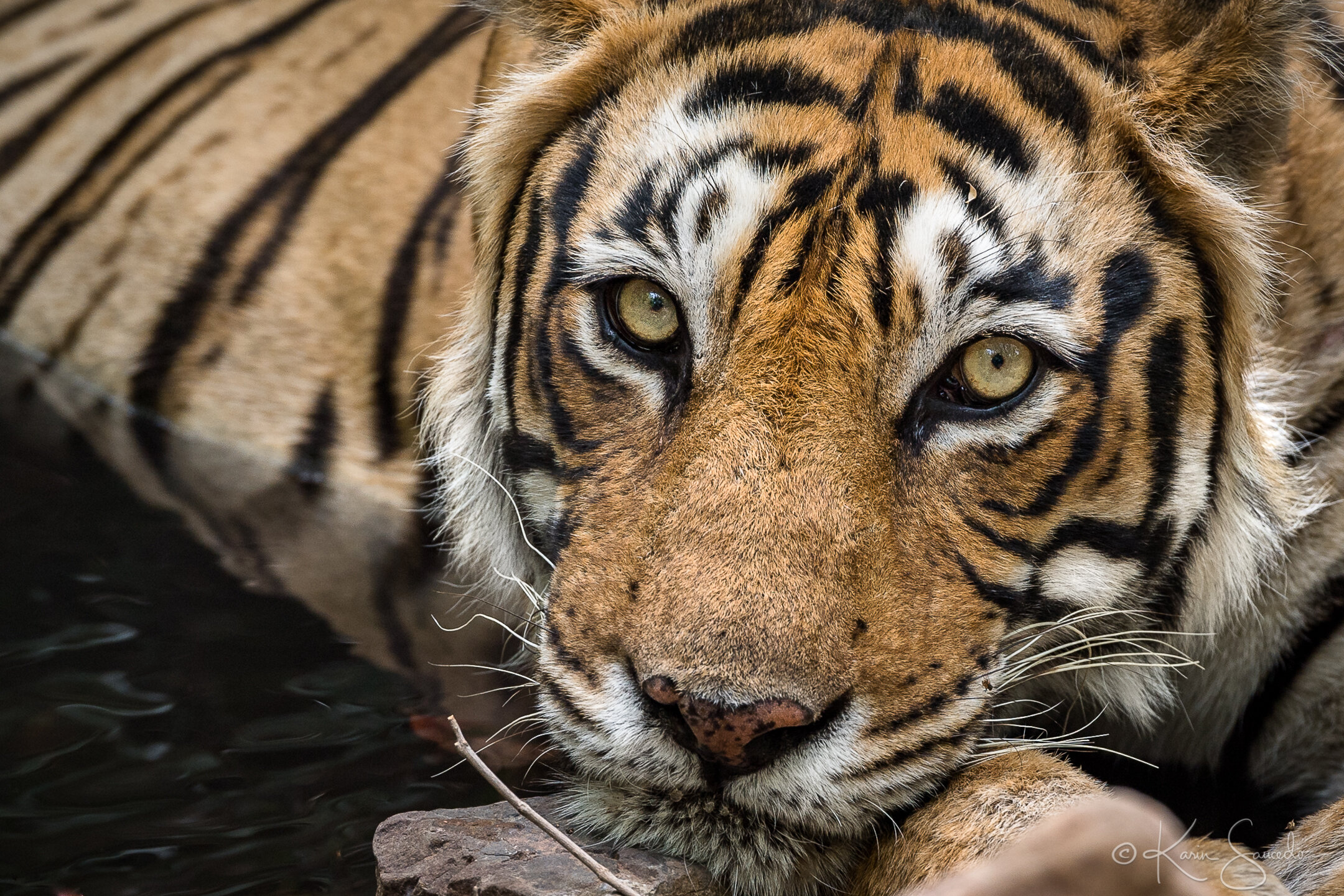 20170515_rathambore_0081.jpg