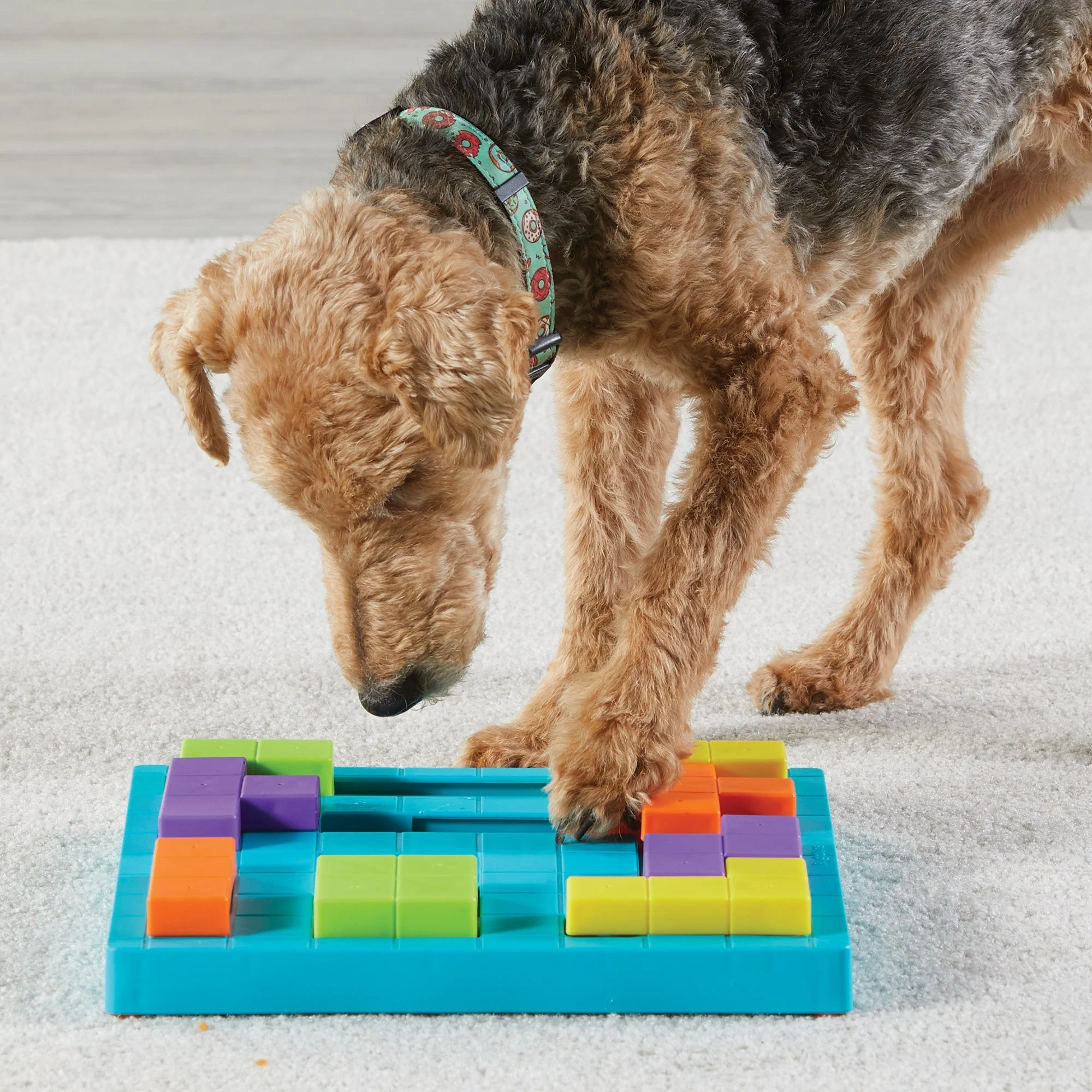 9392-Block-Treat-Puzzle_dog-4-1.jpg