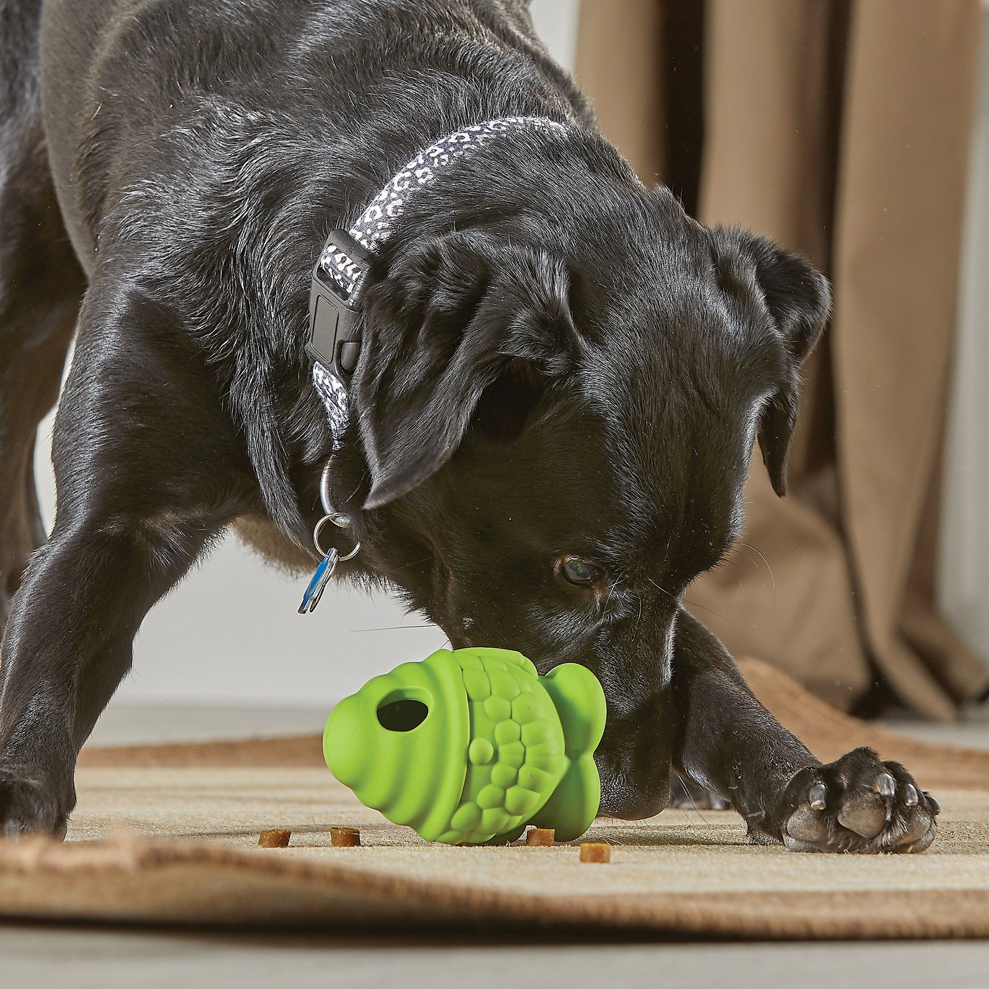 9390-Small-Gnome-dog2-1.jpg