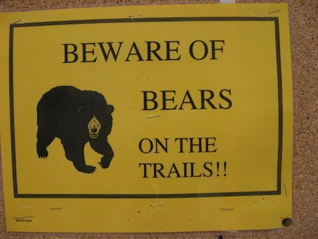 If you go down to the woods today, you're in for a big surprise!.jpg