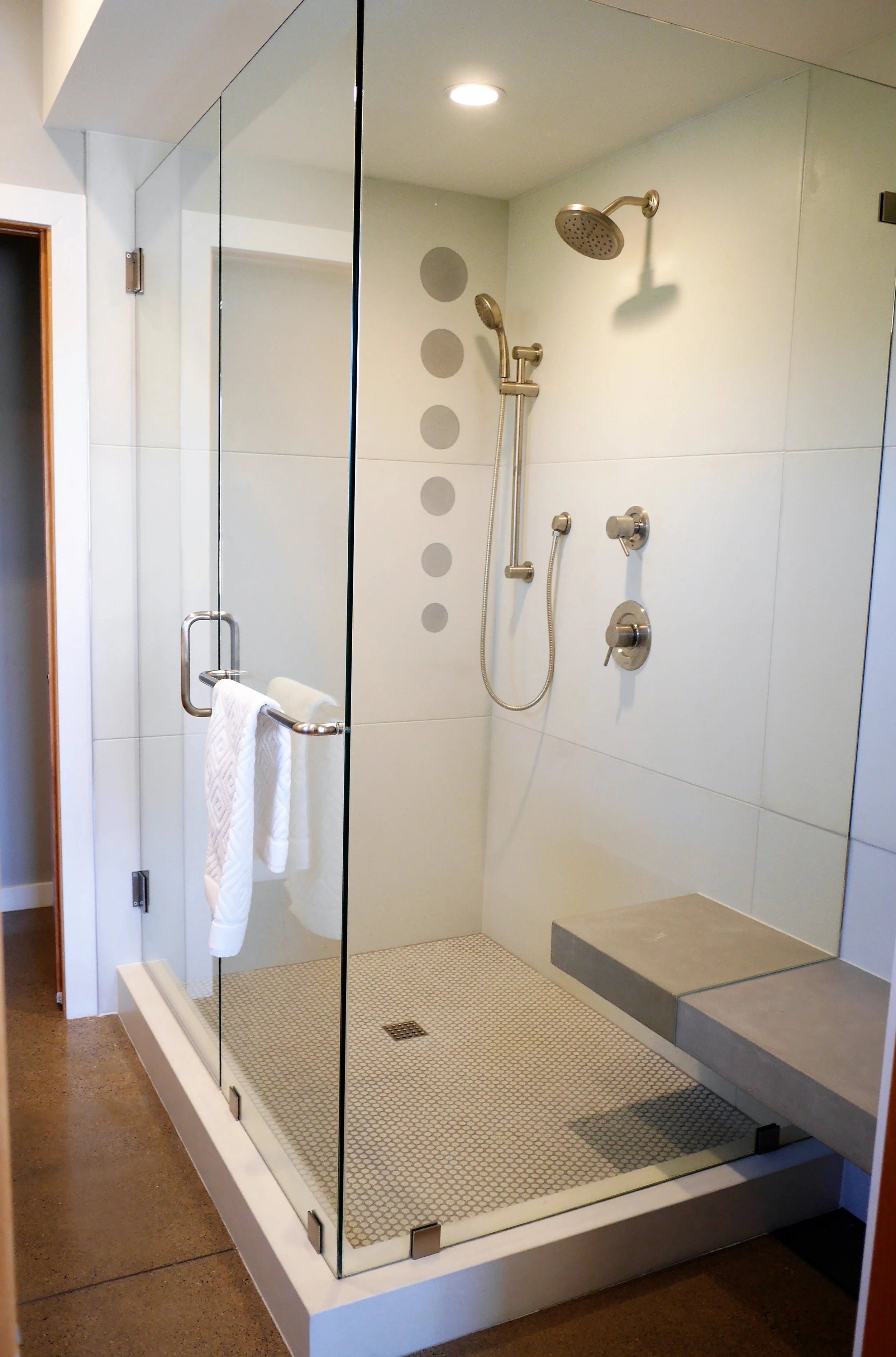 PRO MASTER SHOWER.JPG