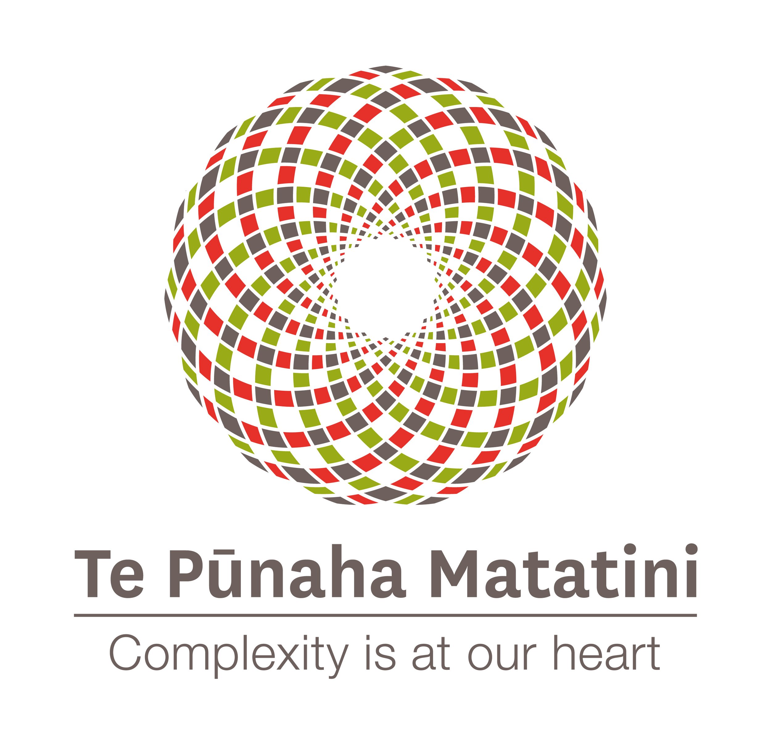 Te Pūnaha Matatini logo