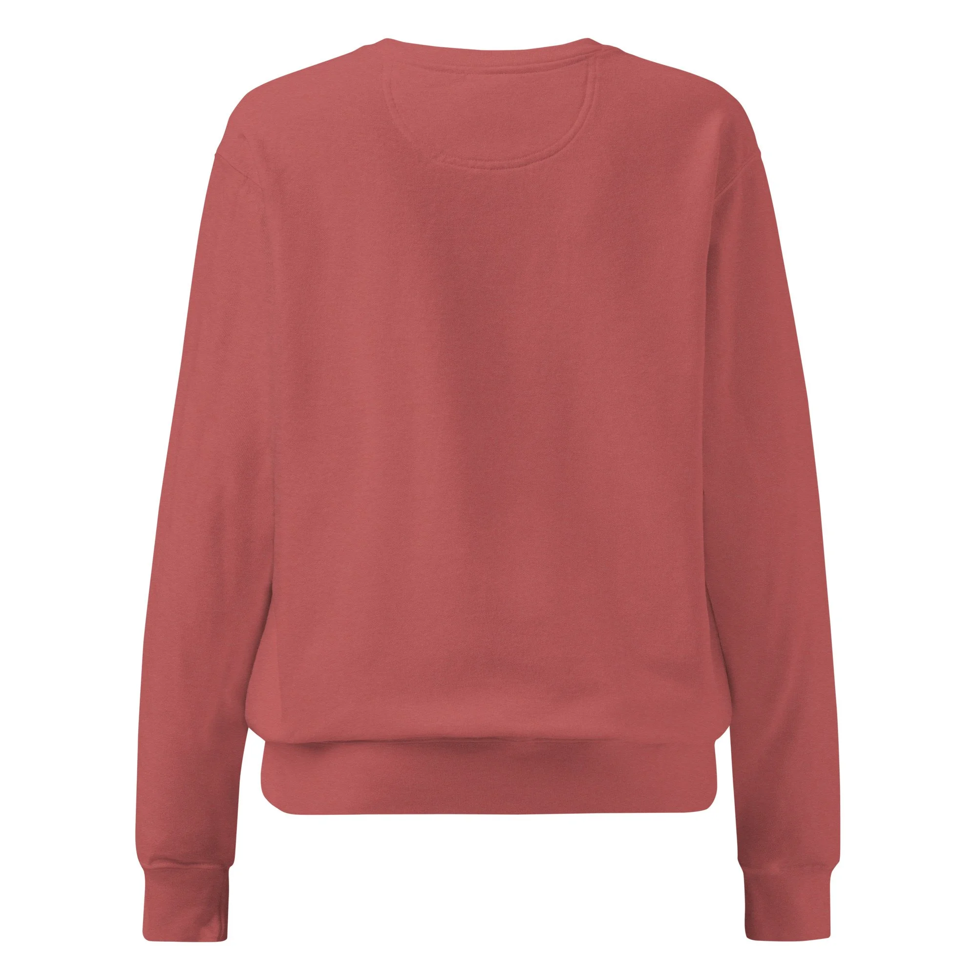 unisex-garment-dyed-sweatshirt-crimson-back-697134e72d061.jpg