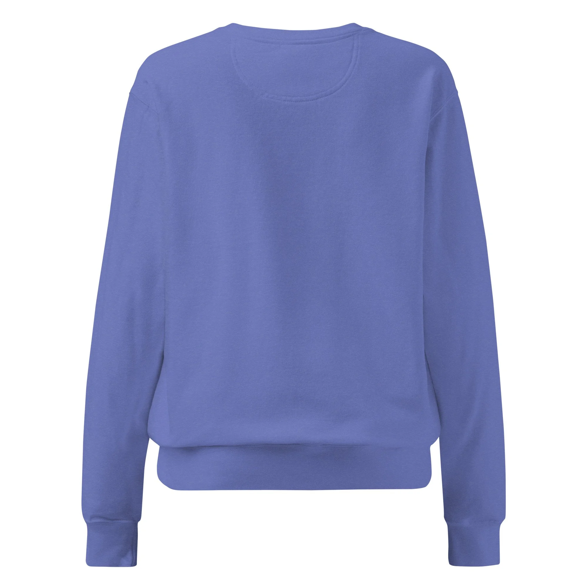 unisex-garment-dyed-sweatshirt-flo-blue-back-697134e72d152.jpg