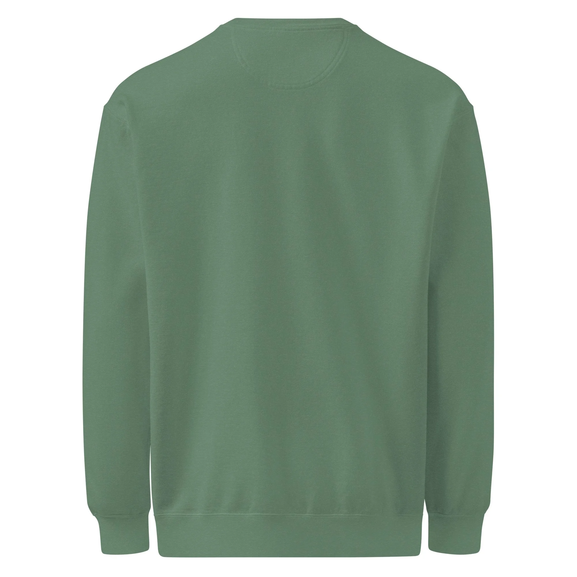 unisex-garment-dyed-sweatshirt-light-green-back-697134e72a2be.jpg