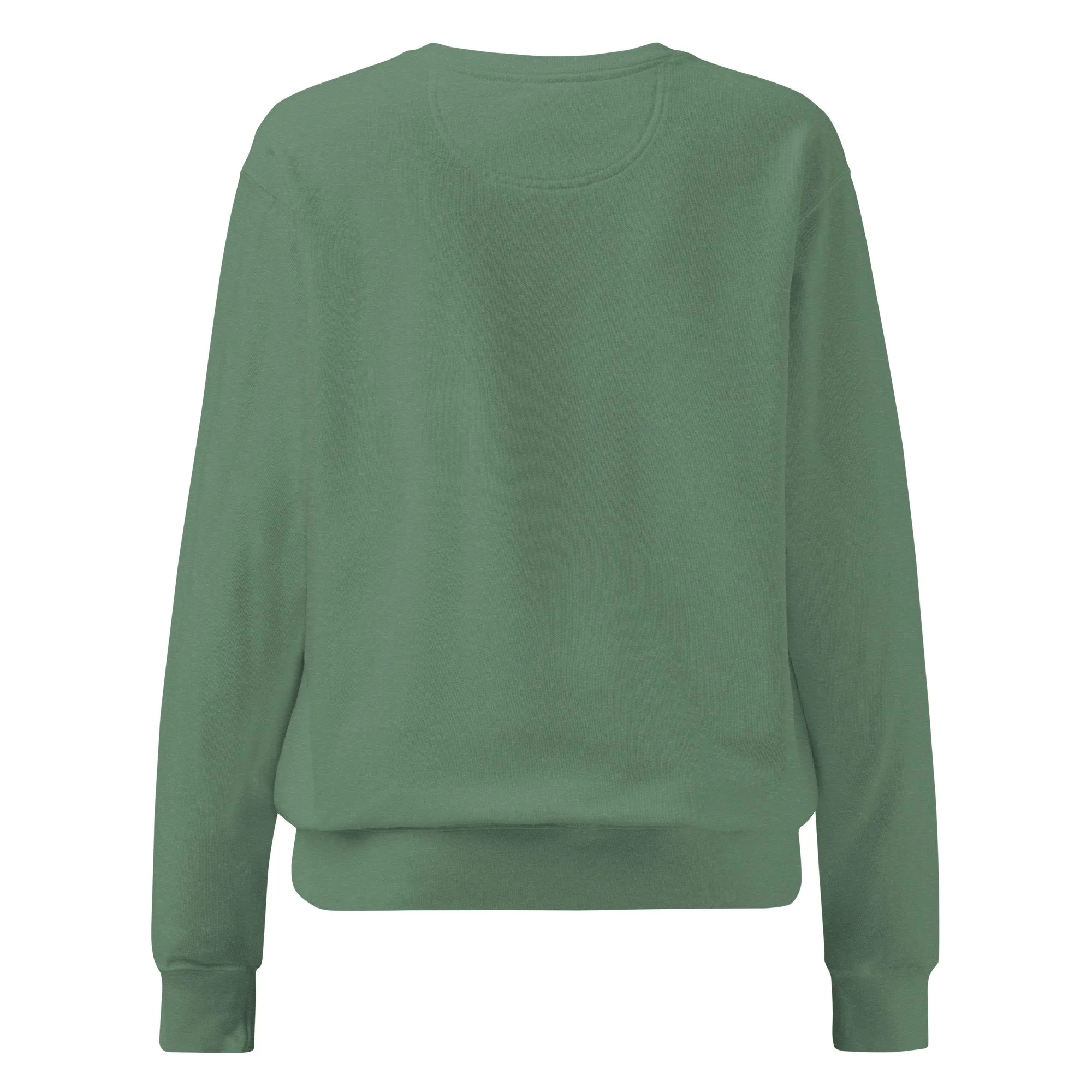 unisex-garment-dyed-sweatshirt-light-green-back-697134e72d24c.jpg