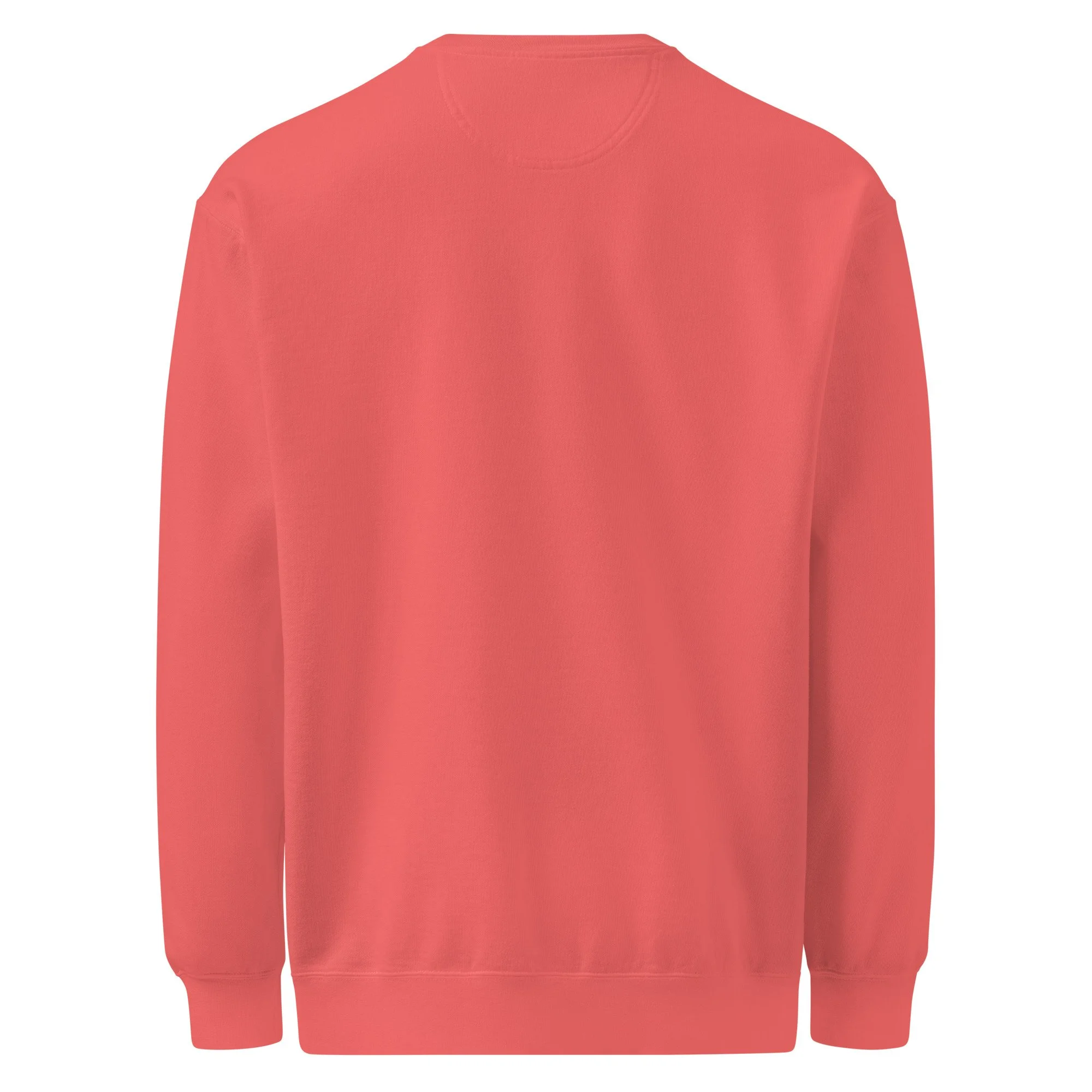 unisex-garment-dyed-sweatshirt-watermelon-back-697134e72a41e.jpg