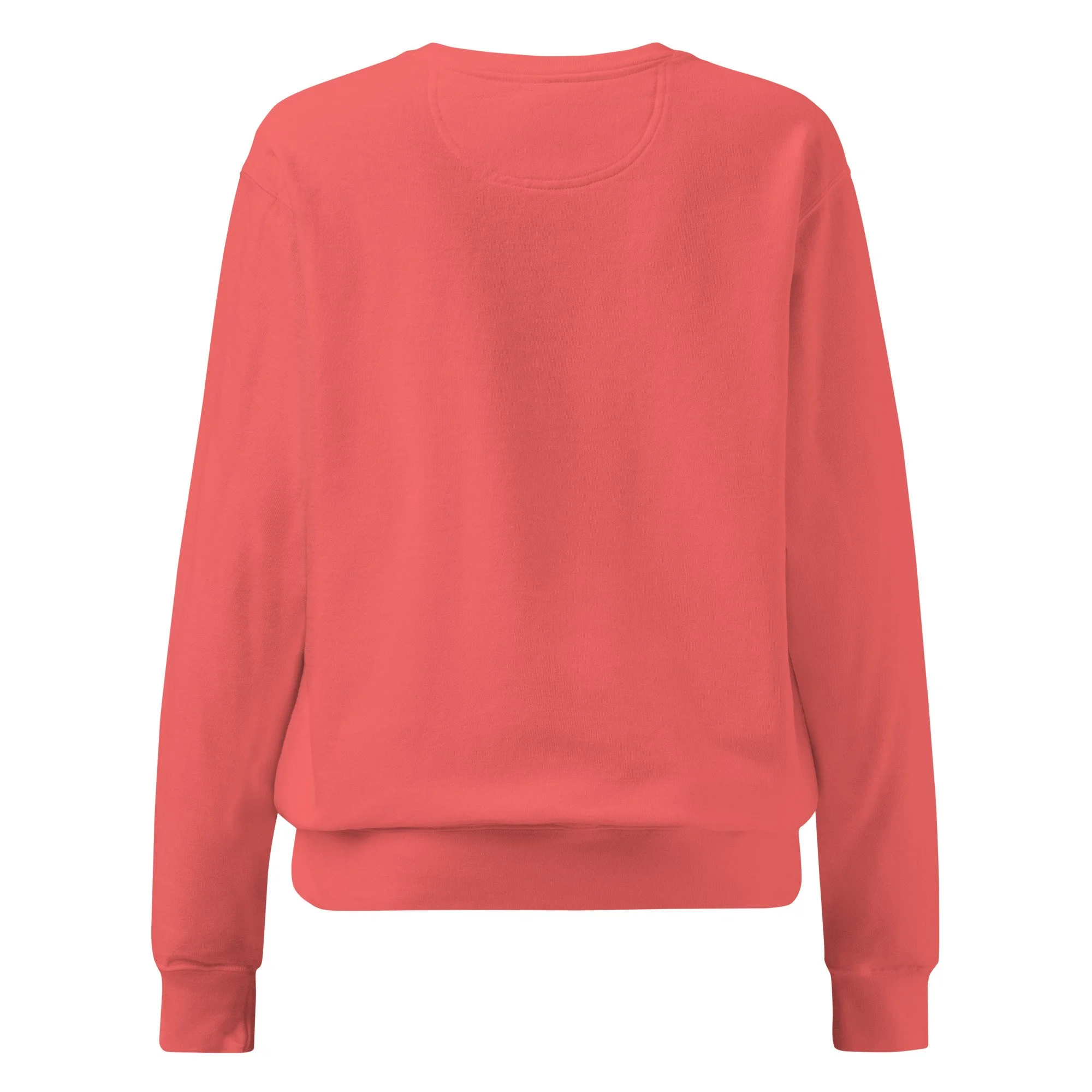 unisex-garment-dyed-sweatshirt-watermelon-back-697134e72d3d2.jpg