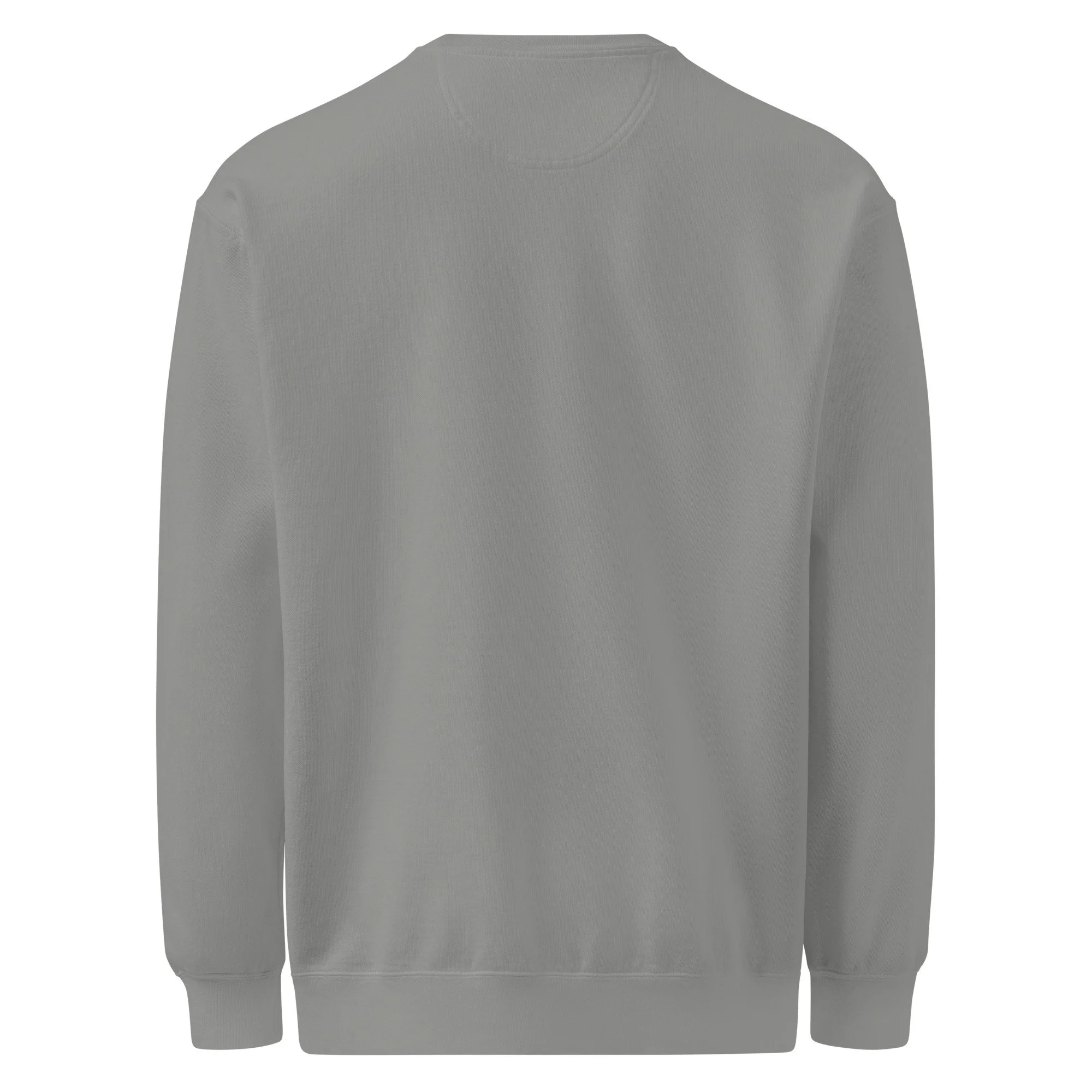 unisex-garment-dyed-sweatshirt-grey-back-697134e72a24e.jpg