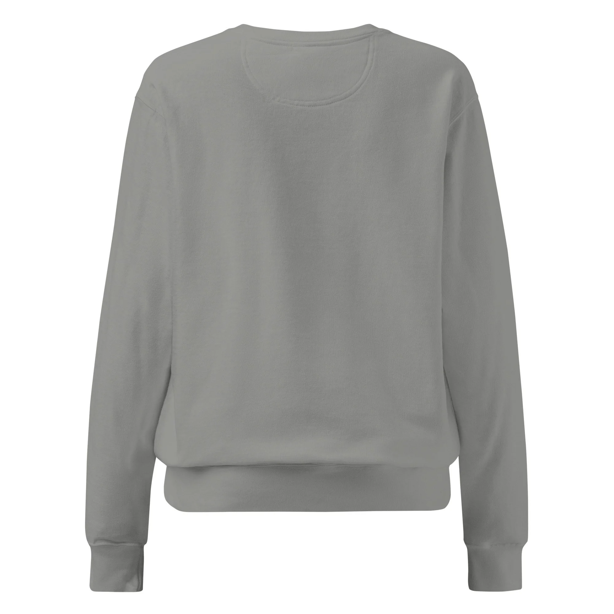 unisex-garment-dyed-sweatshirt-grey-back-697134e72d1cc.jpg