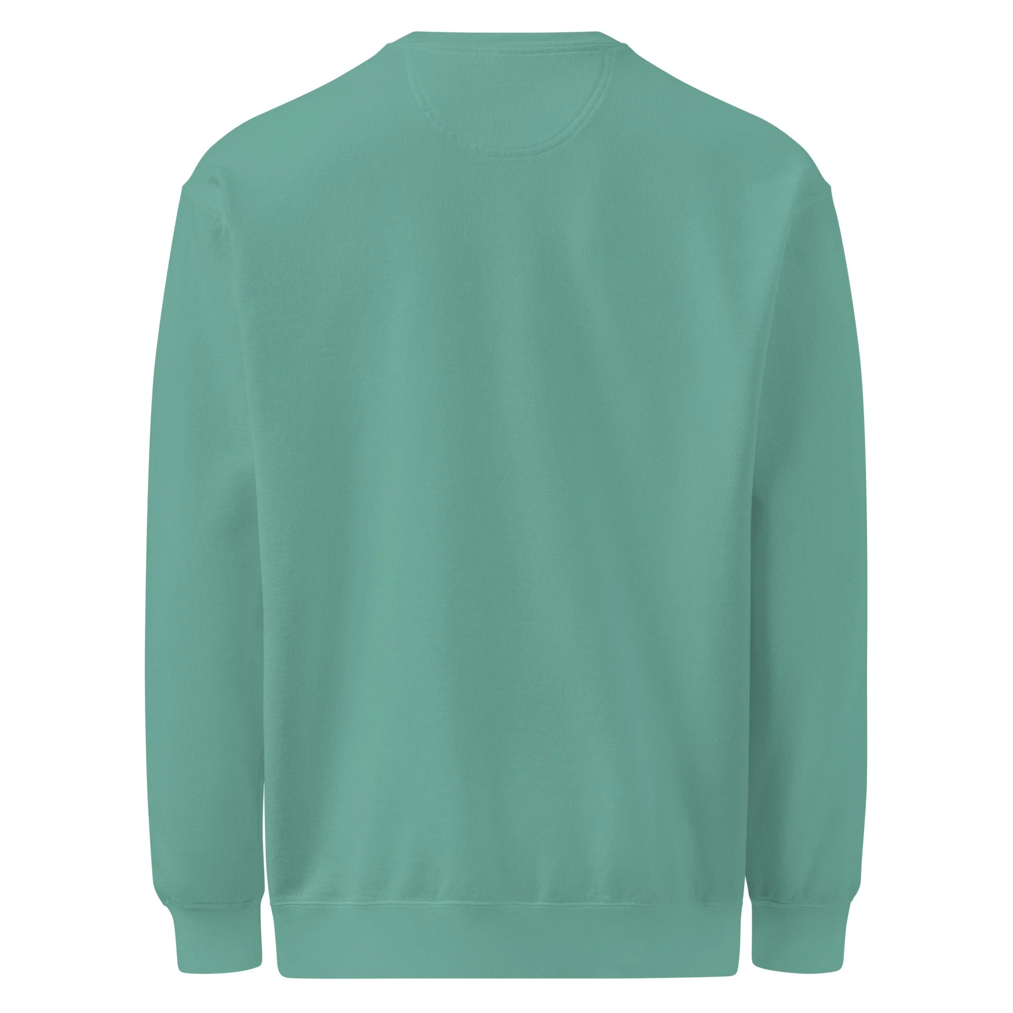unisex-garment-dyed-sweatshirt-seafoam-back-697134e72a39b.jpg