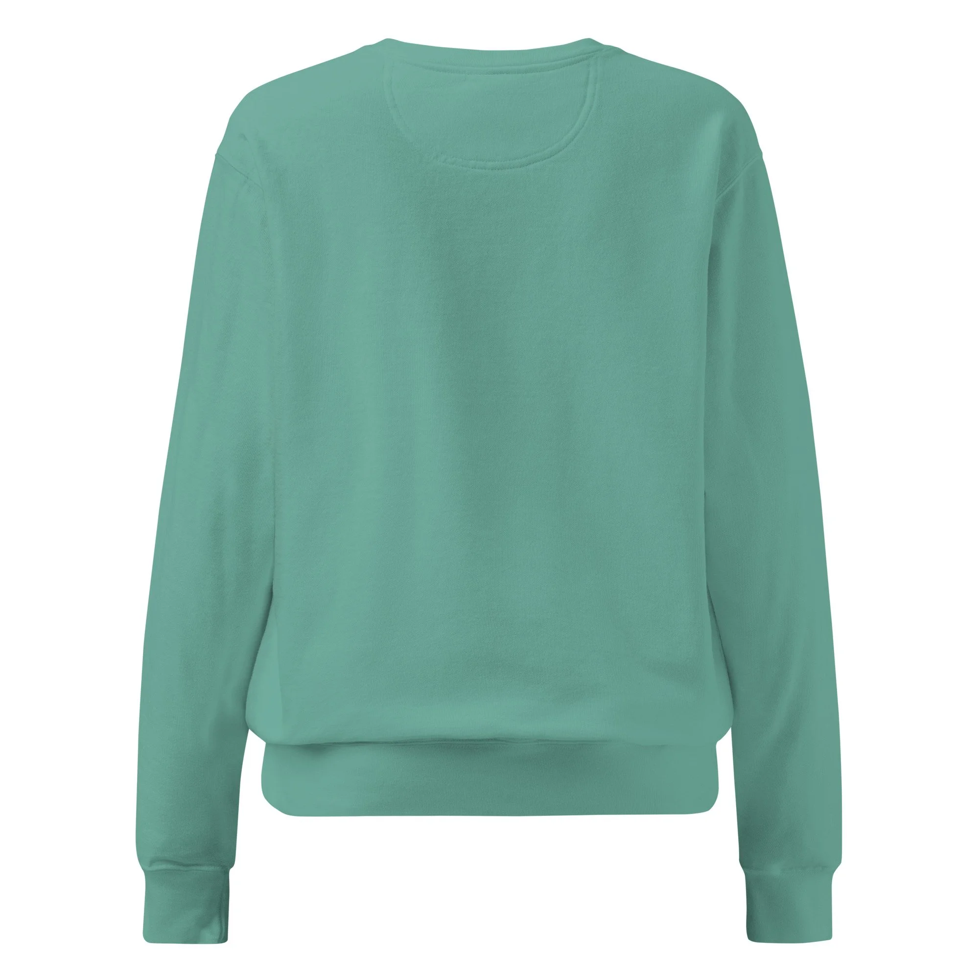 unisex-garment-dyed-sweatshirt-seafoam-back-697134e72d35e.jpg