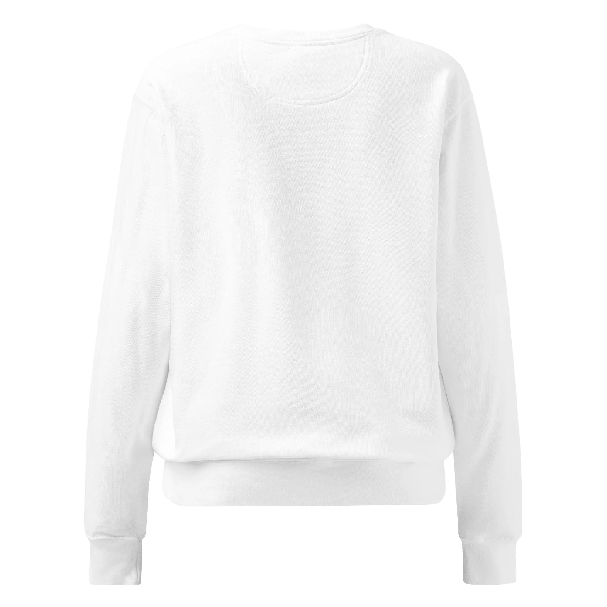 unisex-garment-dyed-sweatshirt-white-back-697134e72d446.jpg