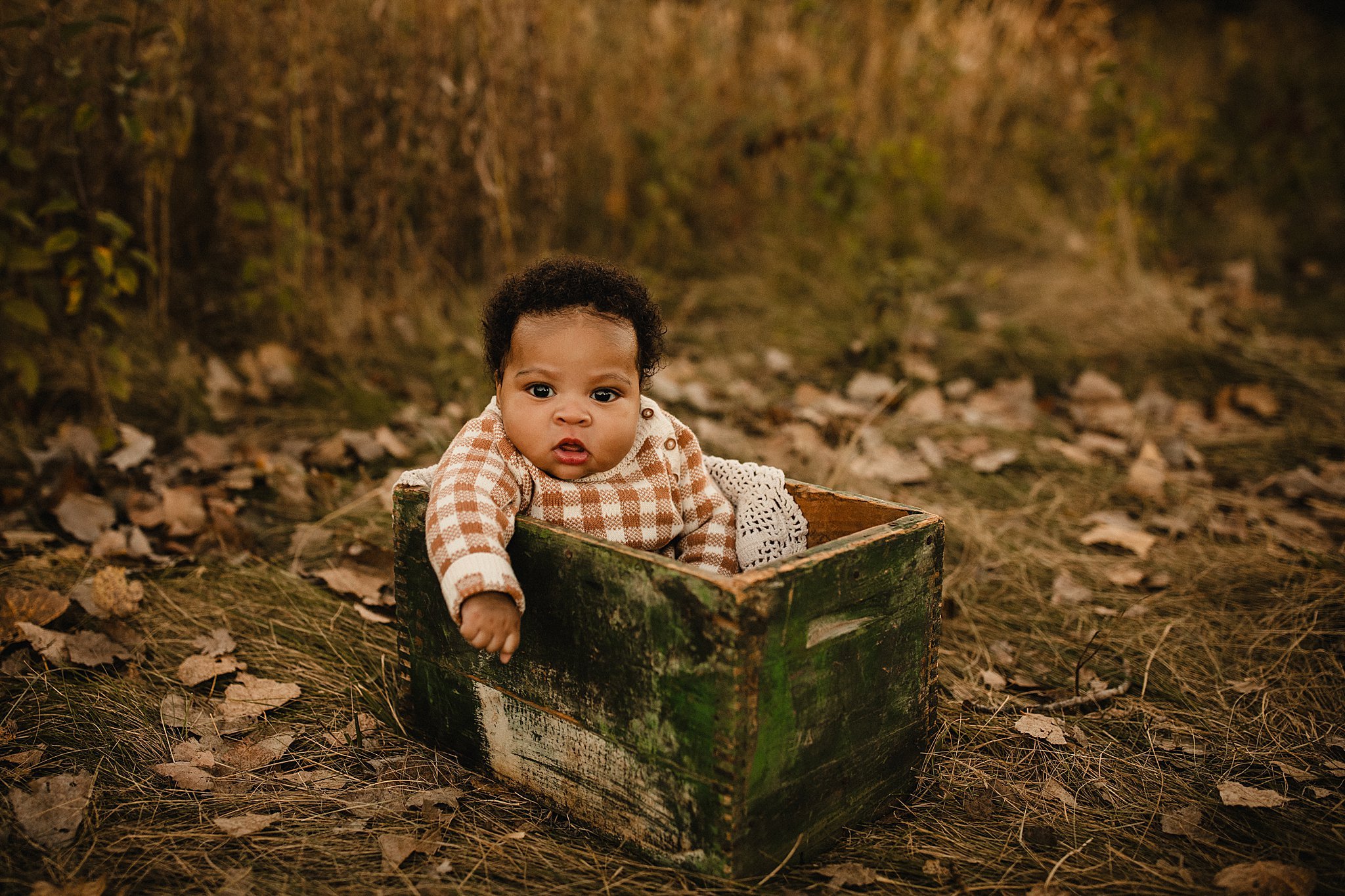 naperville portrait photographer.jpg