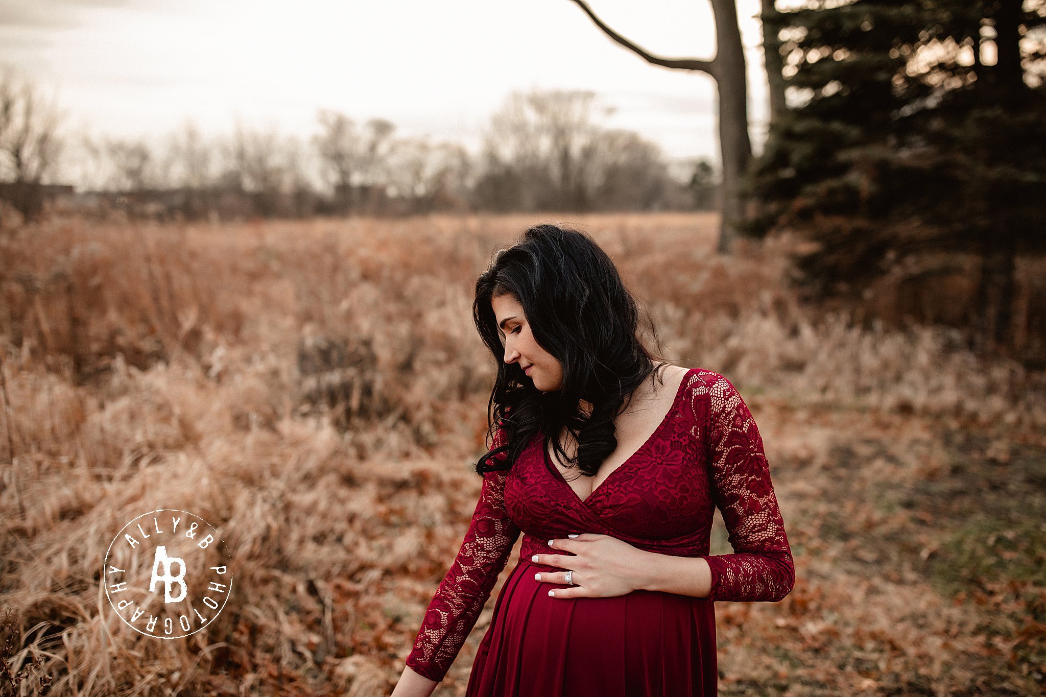 maternity photographers in naperville il.jpg