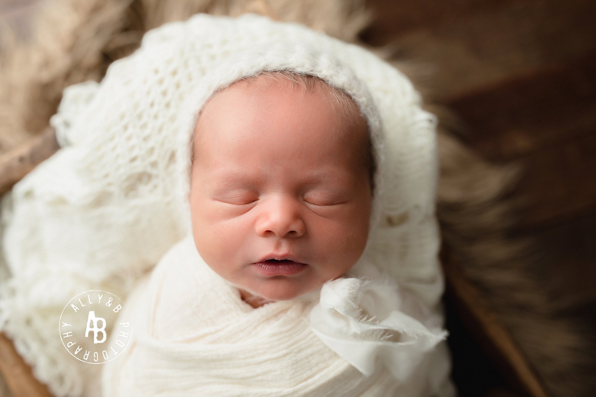 naperville newborn photographers.jpg