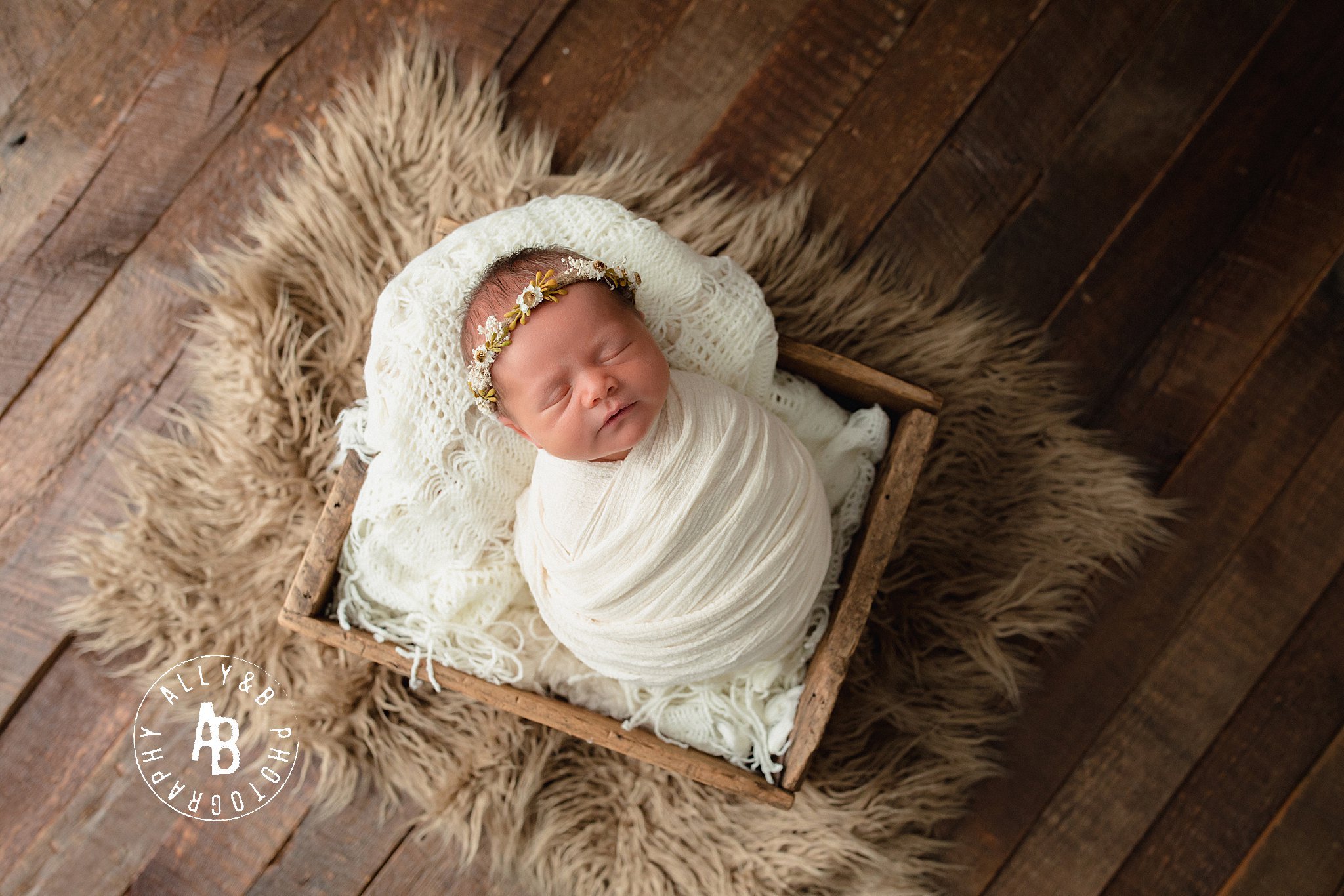 newborn photoshoot.jpg