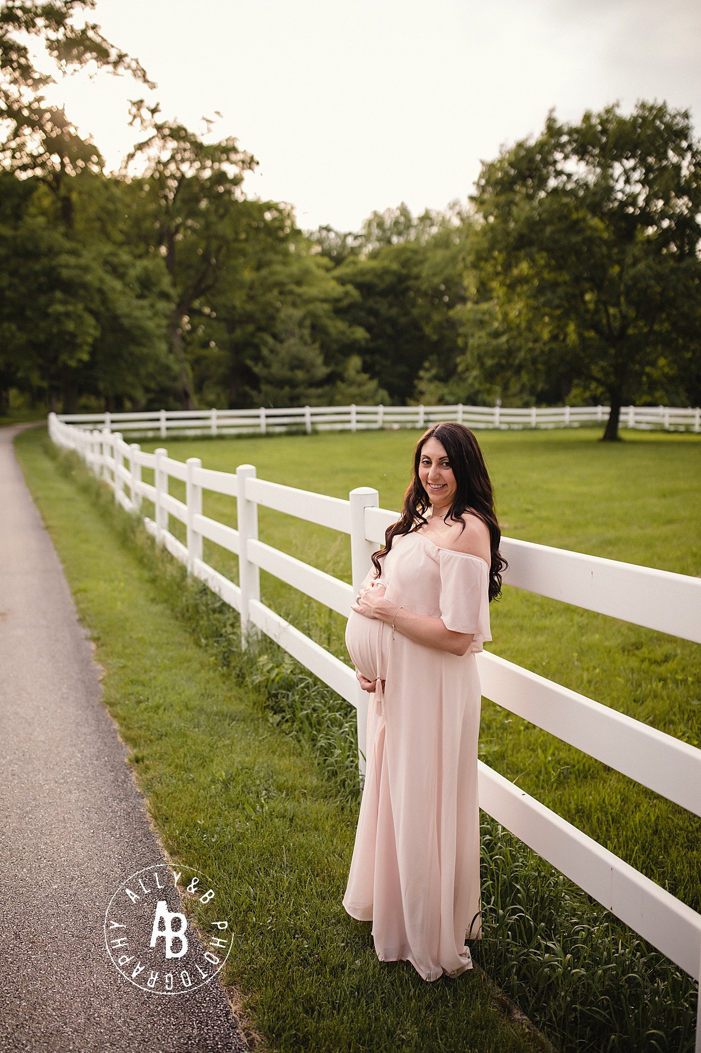 maternity photographer naperville il.jpg