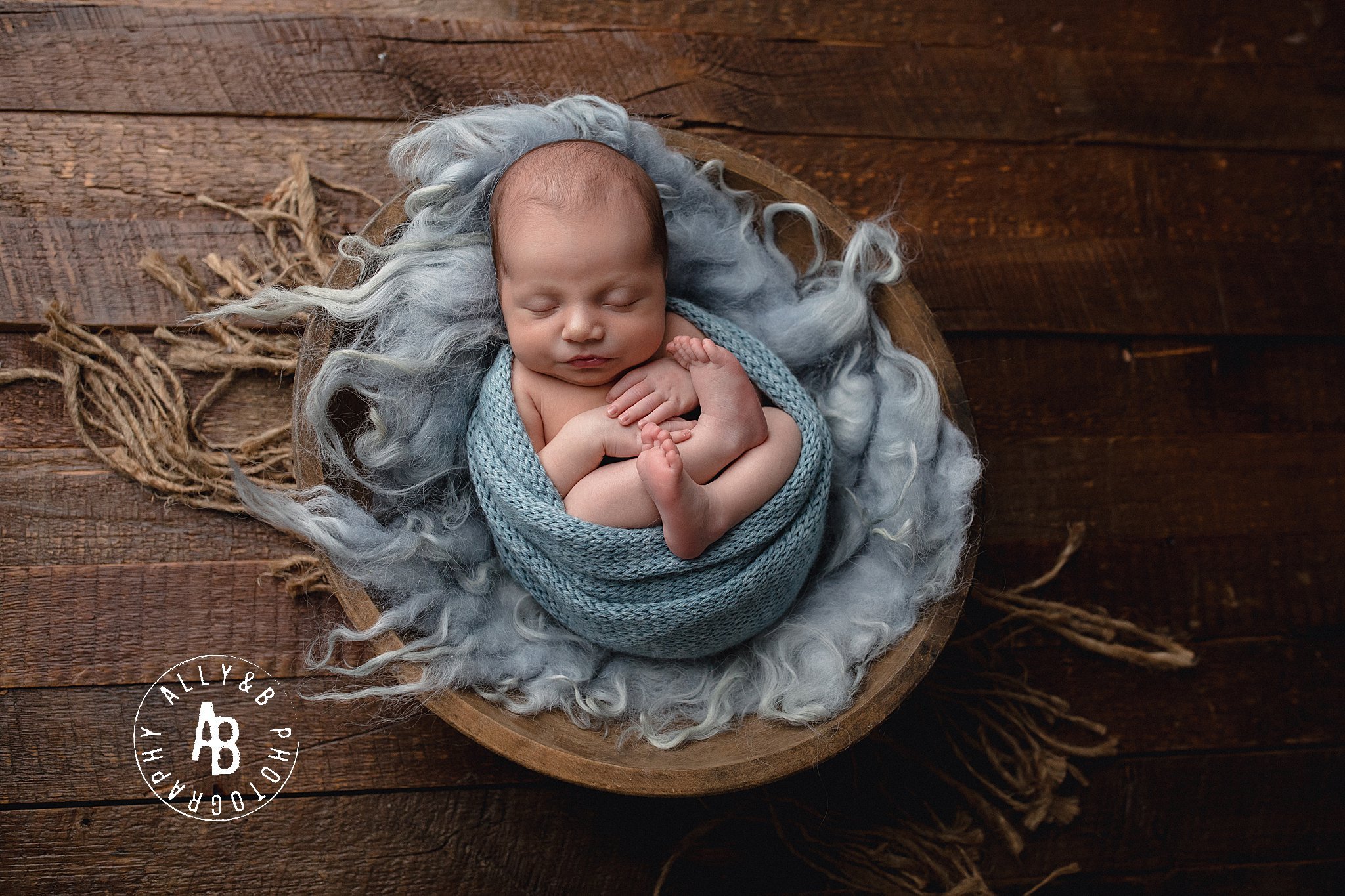 elmhurst newborn photographer.jpg