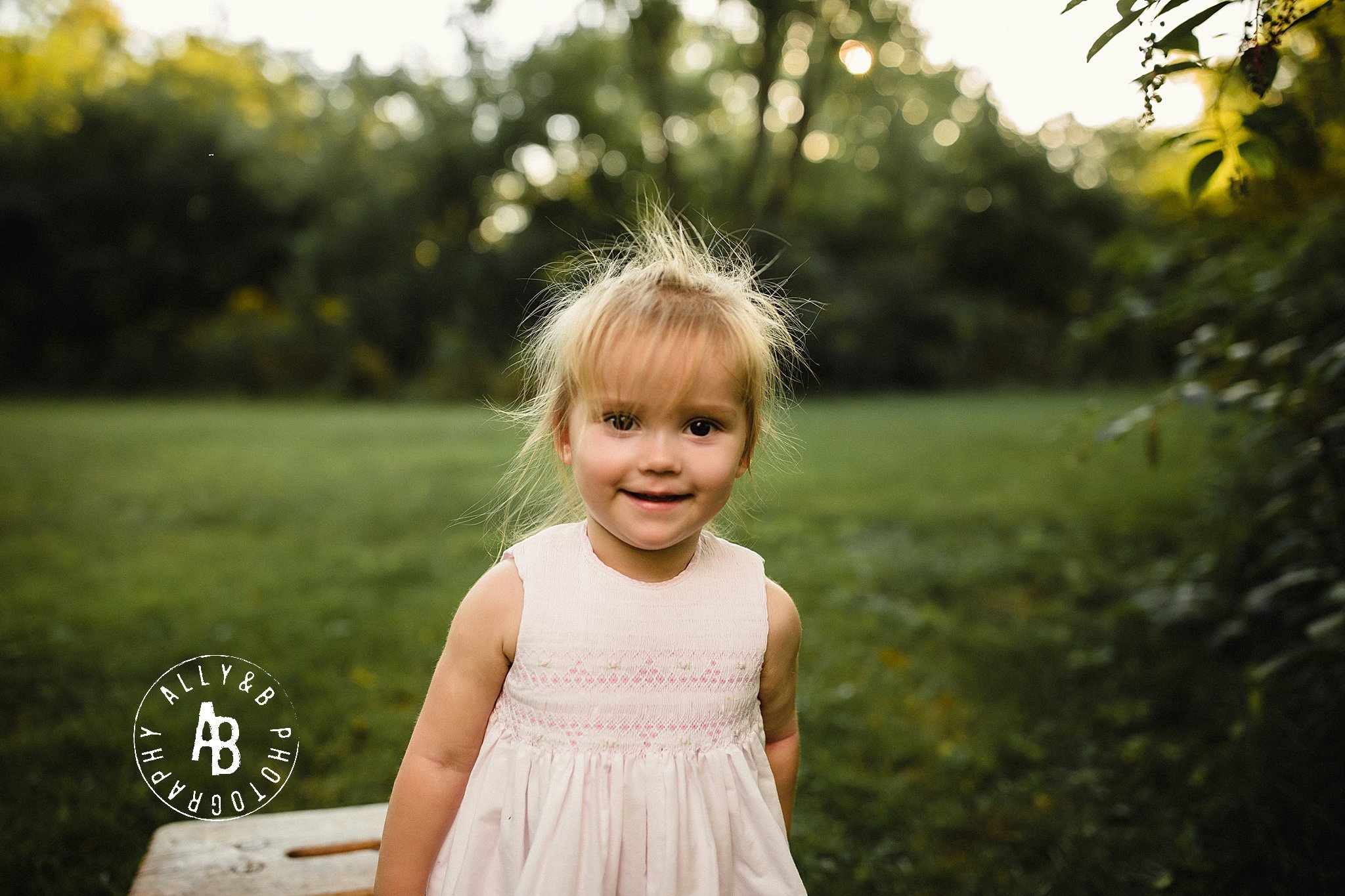 best family photographer naperville il.jpg