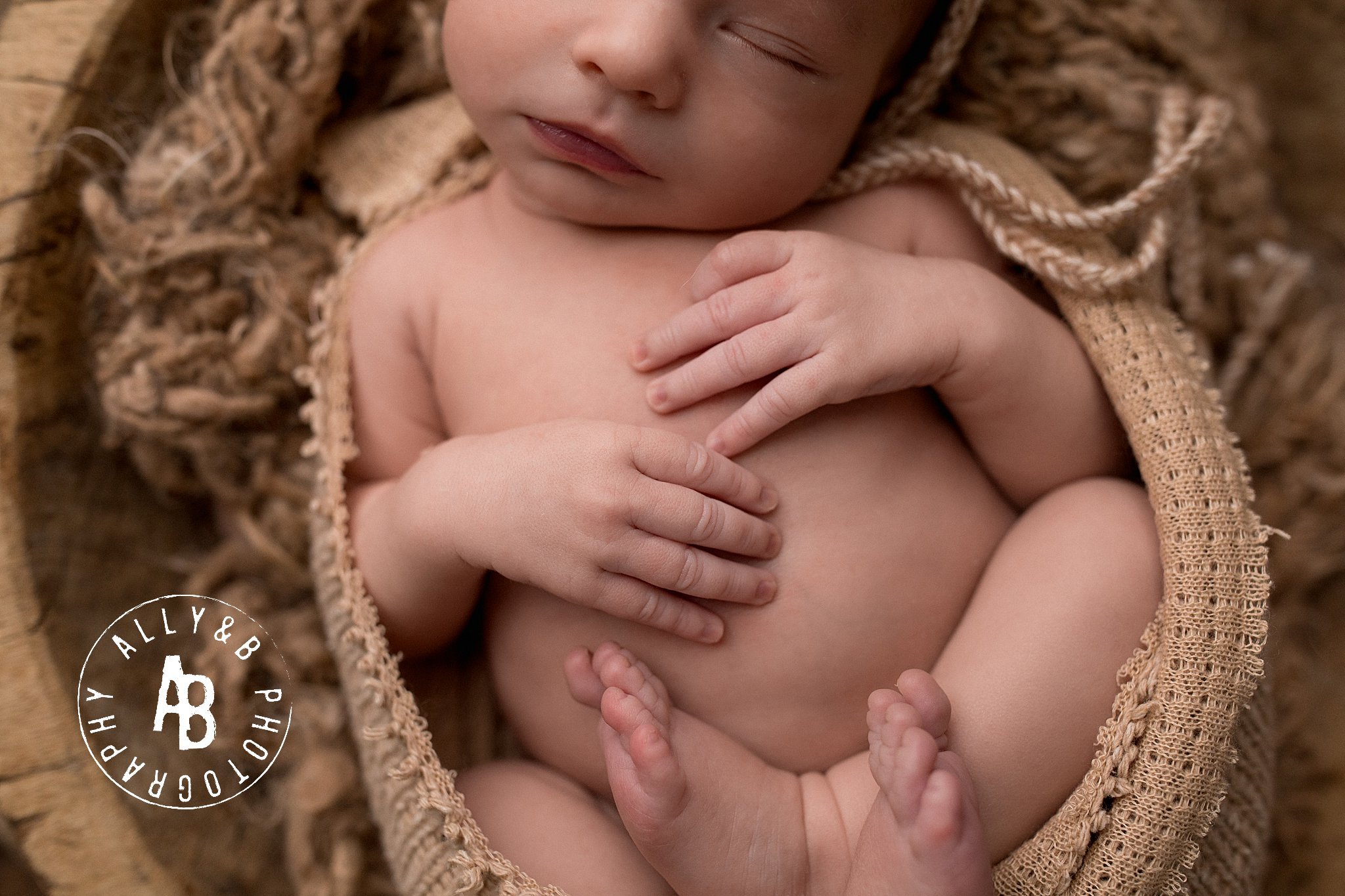 naperville newborn photographers.jpg