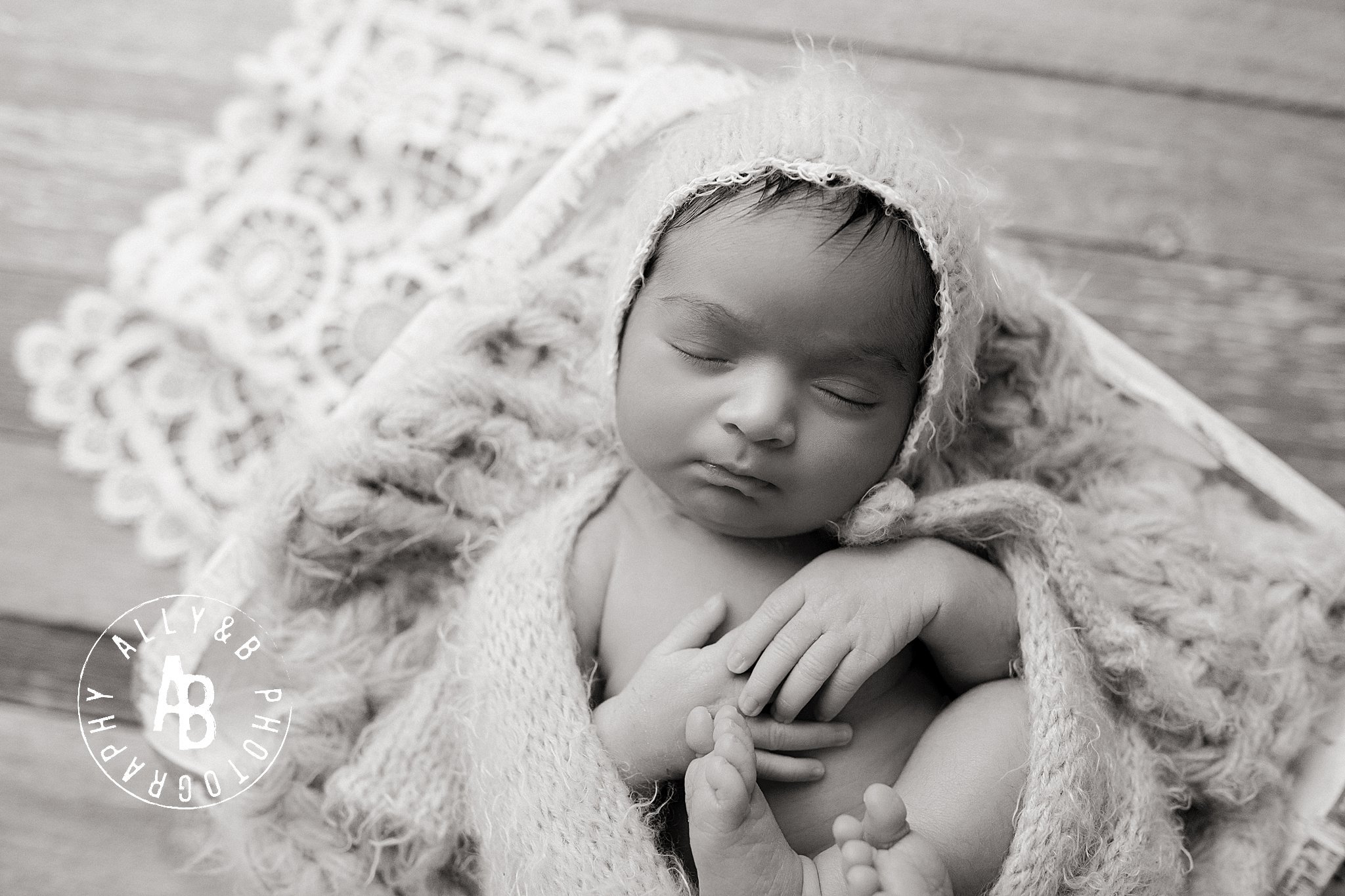 posed newborn session.jpg