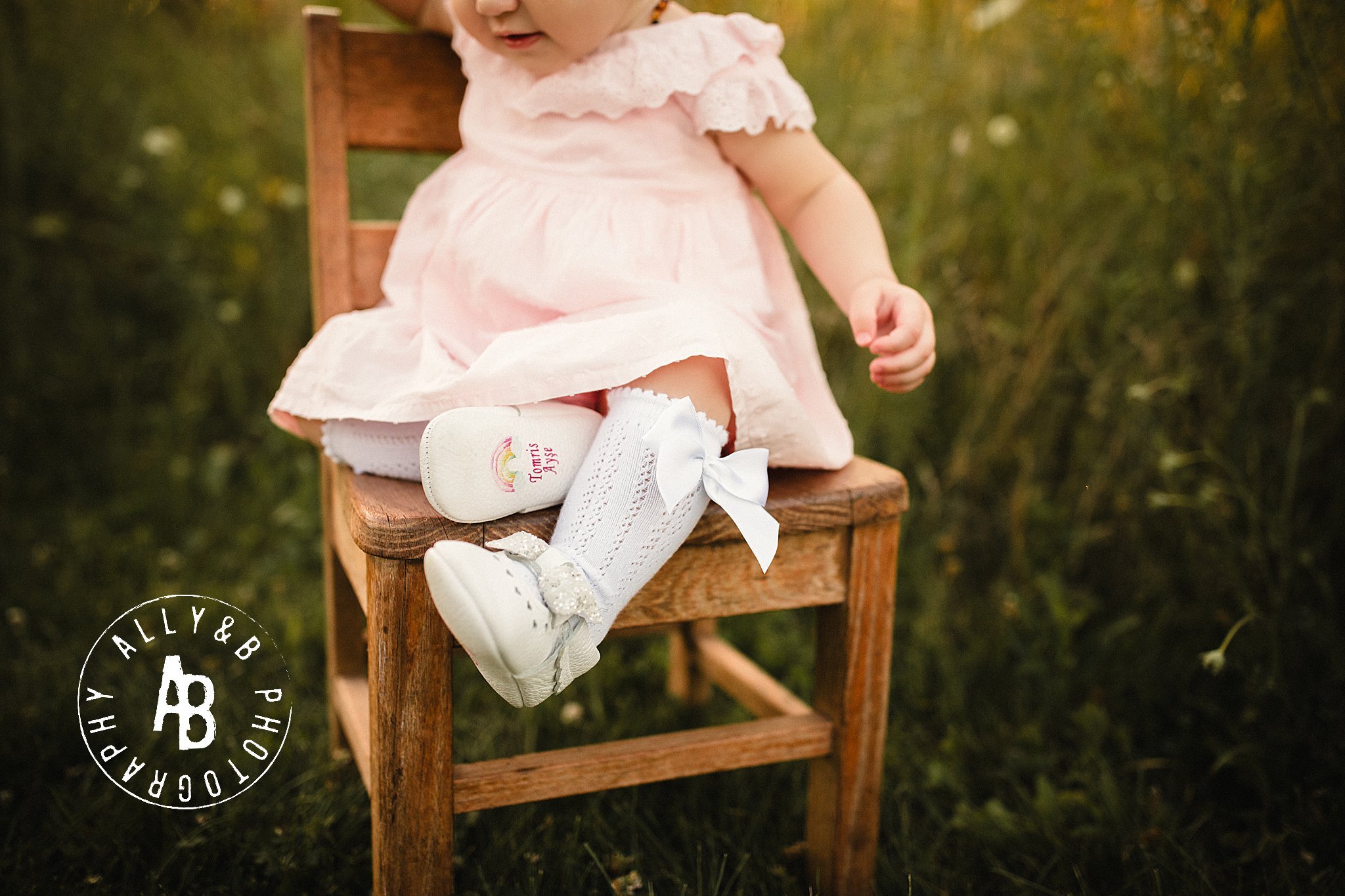 family photographer downers grove il.jpg