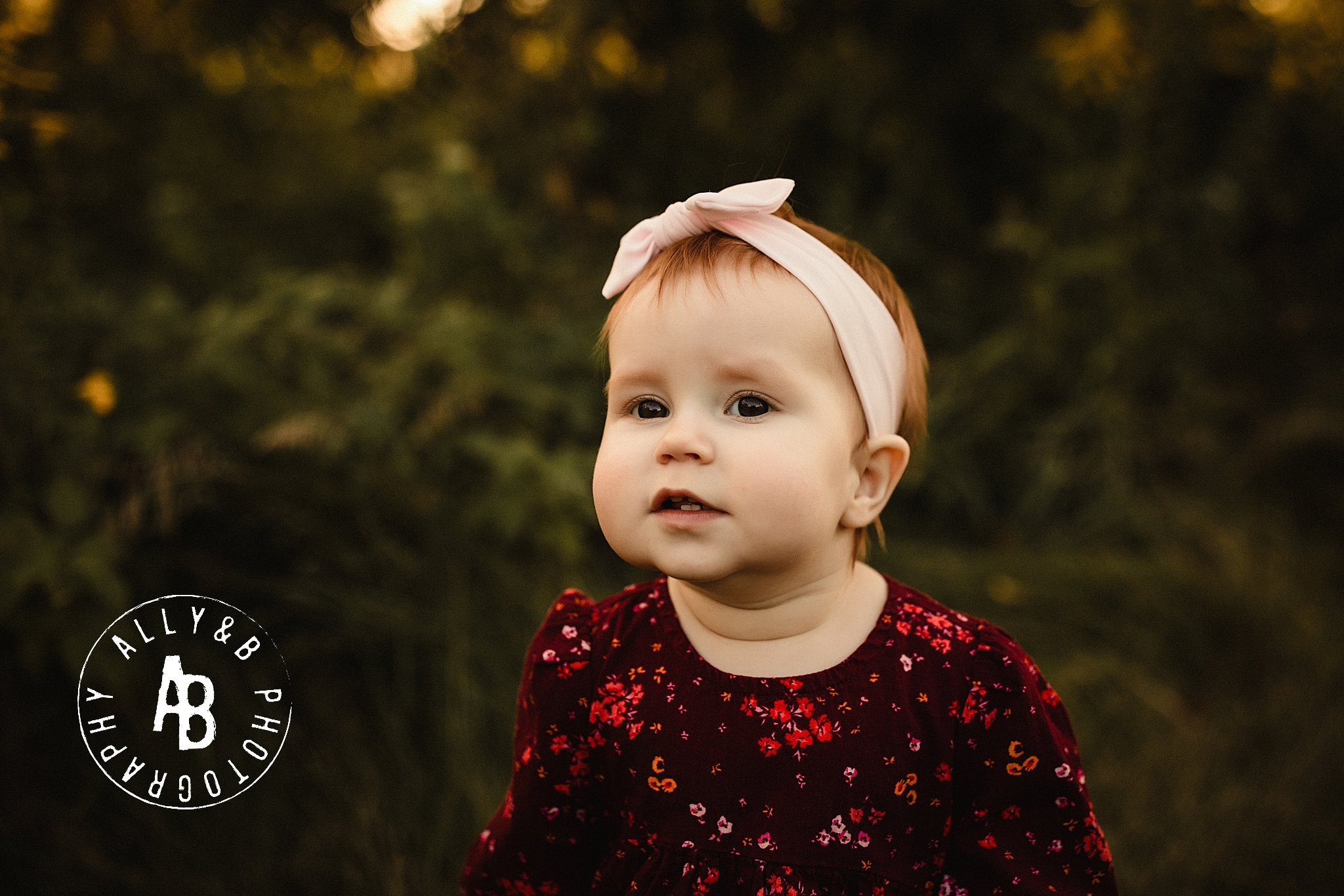 family photographers near chicago.jpg